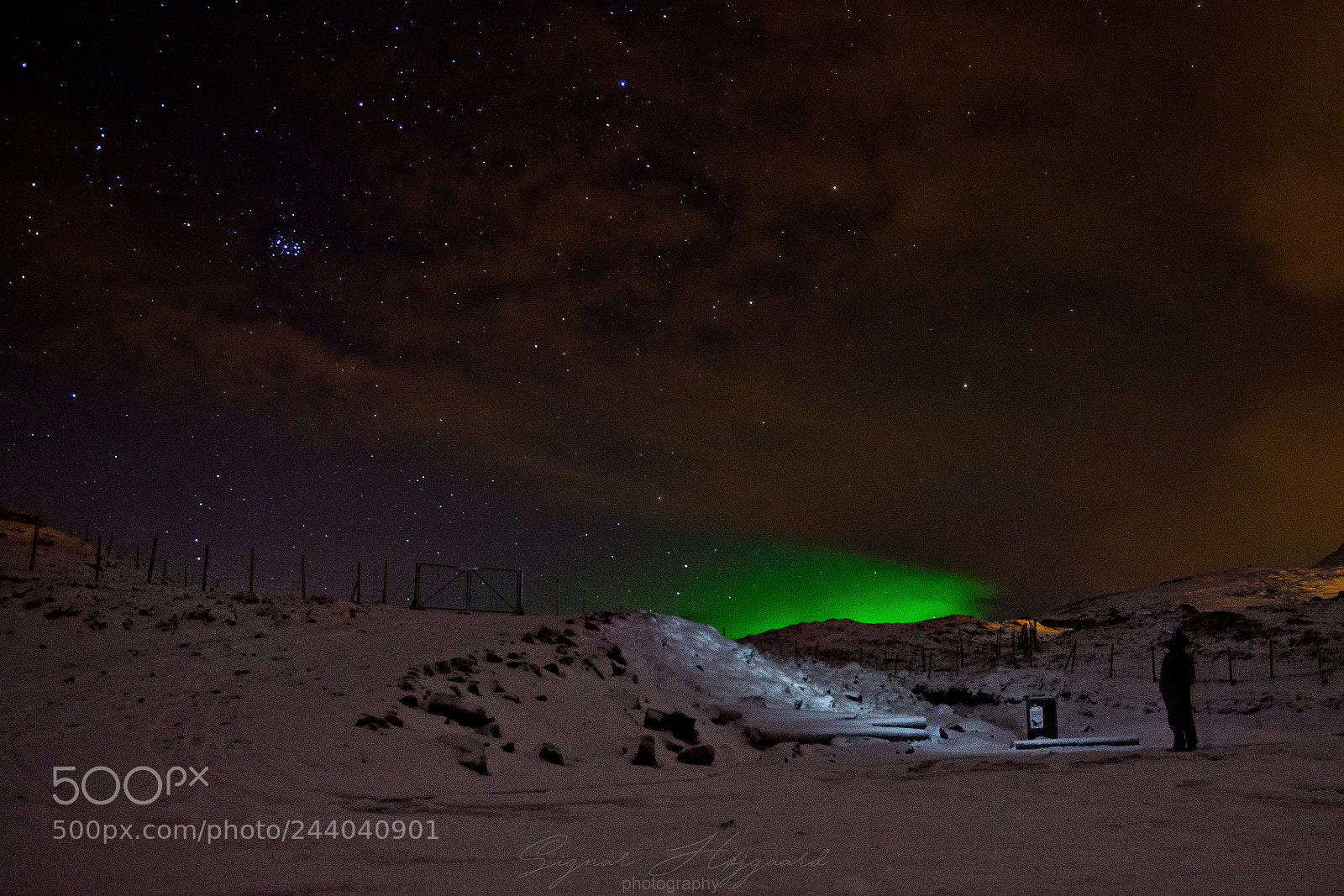Sony SLT-A77 sample photo. Cold night photography
