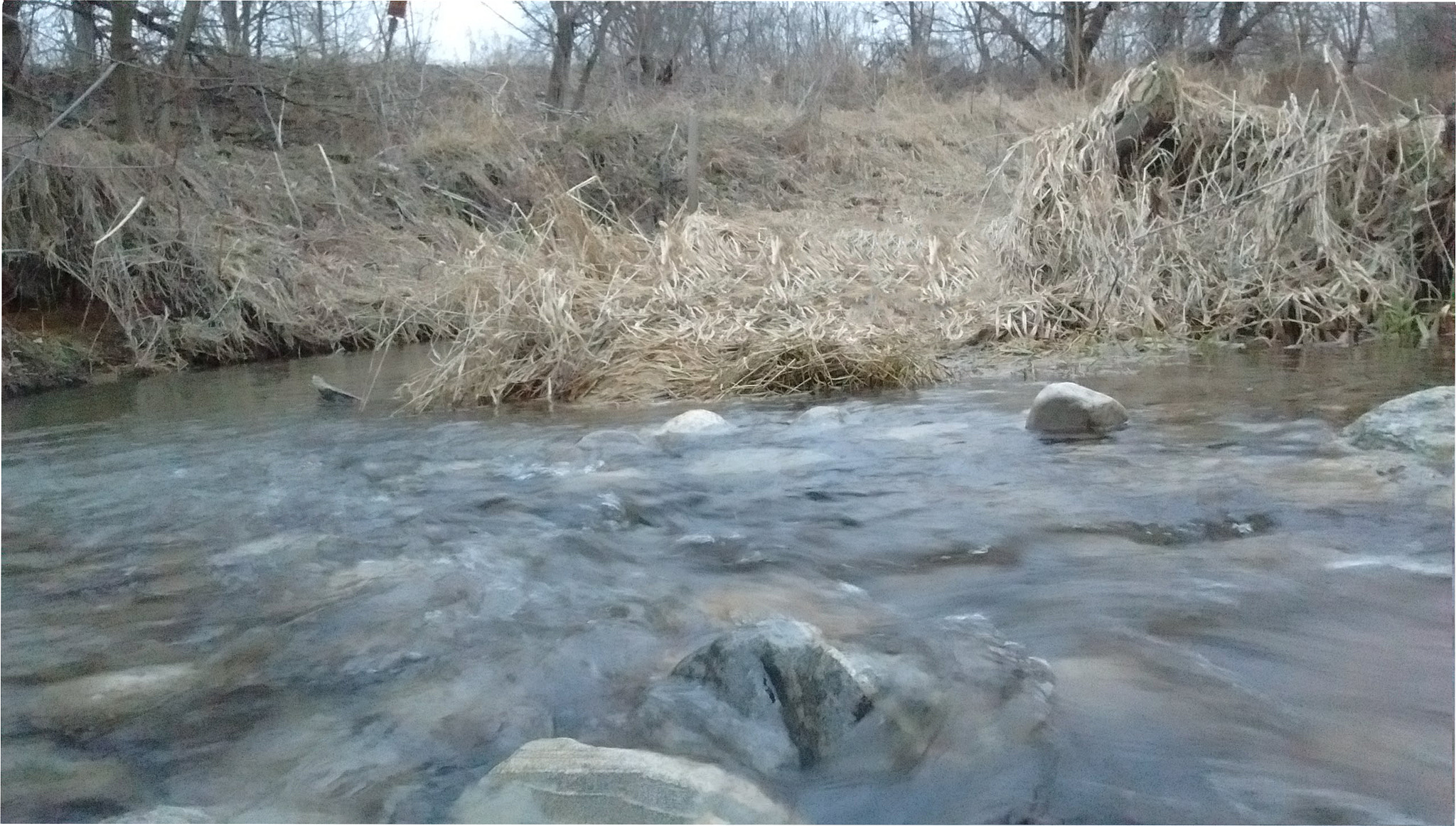 Motorola Moto E with 4G LTE (2nd Gen) sample photo. Rocks under water photography