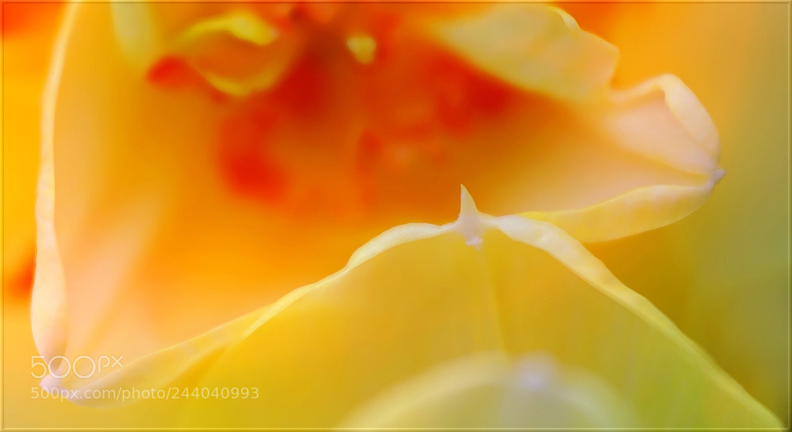 Sony a7R II sample photo. Klettere nie h her photography