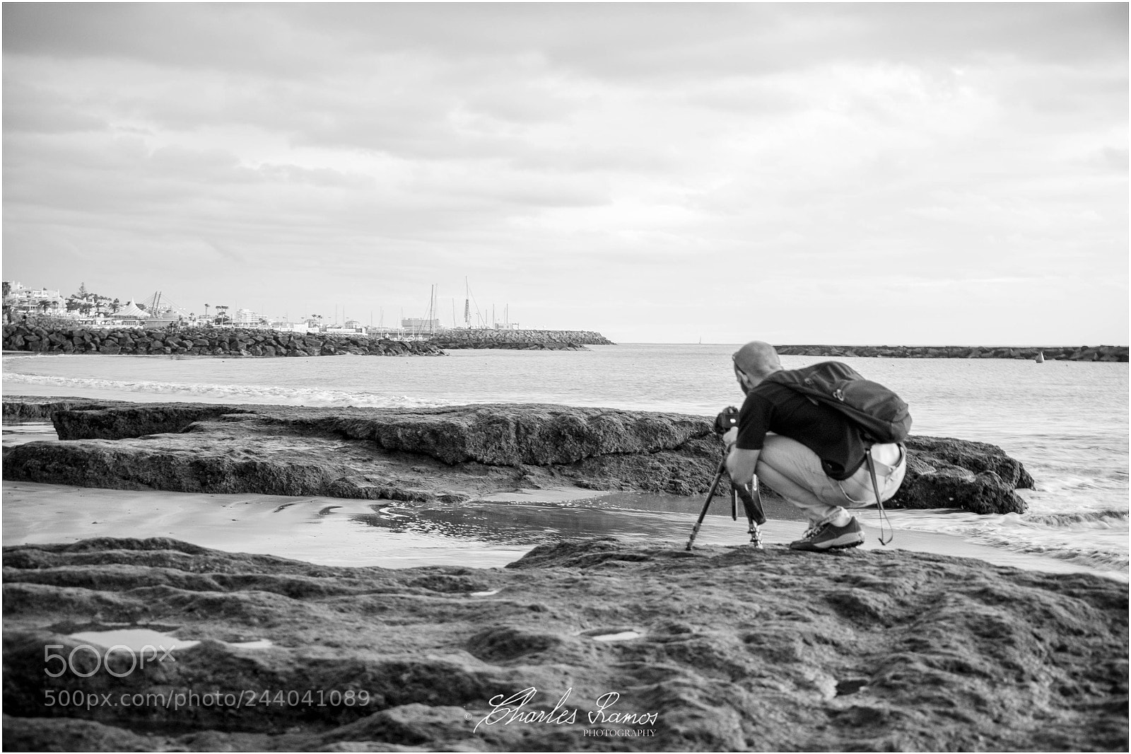 Nikon D500 sample photo. ..."vlad, au boulot" ! photography
