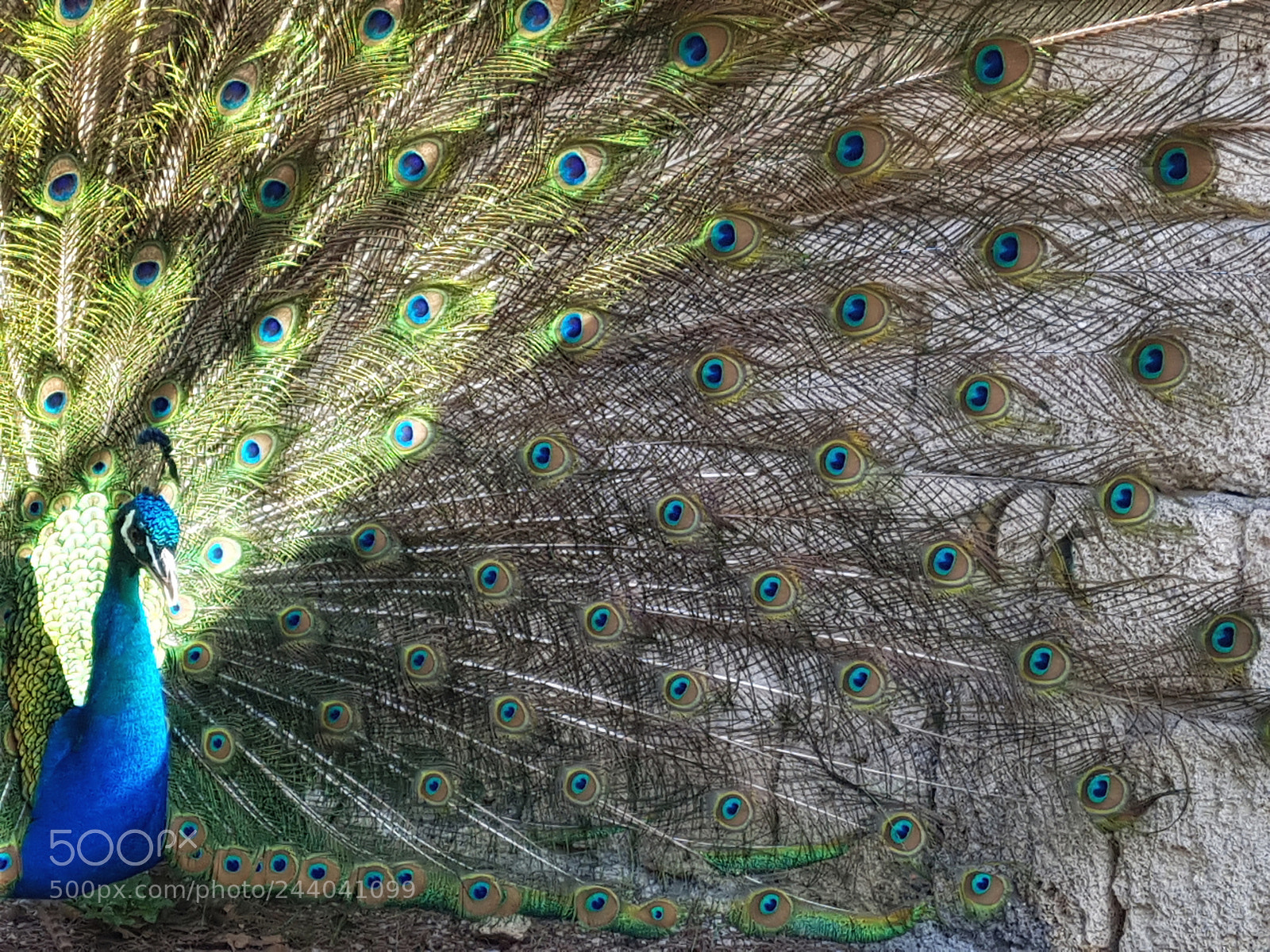 Samsung Galaxy S7 Edge sample photo. Untitled photography
