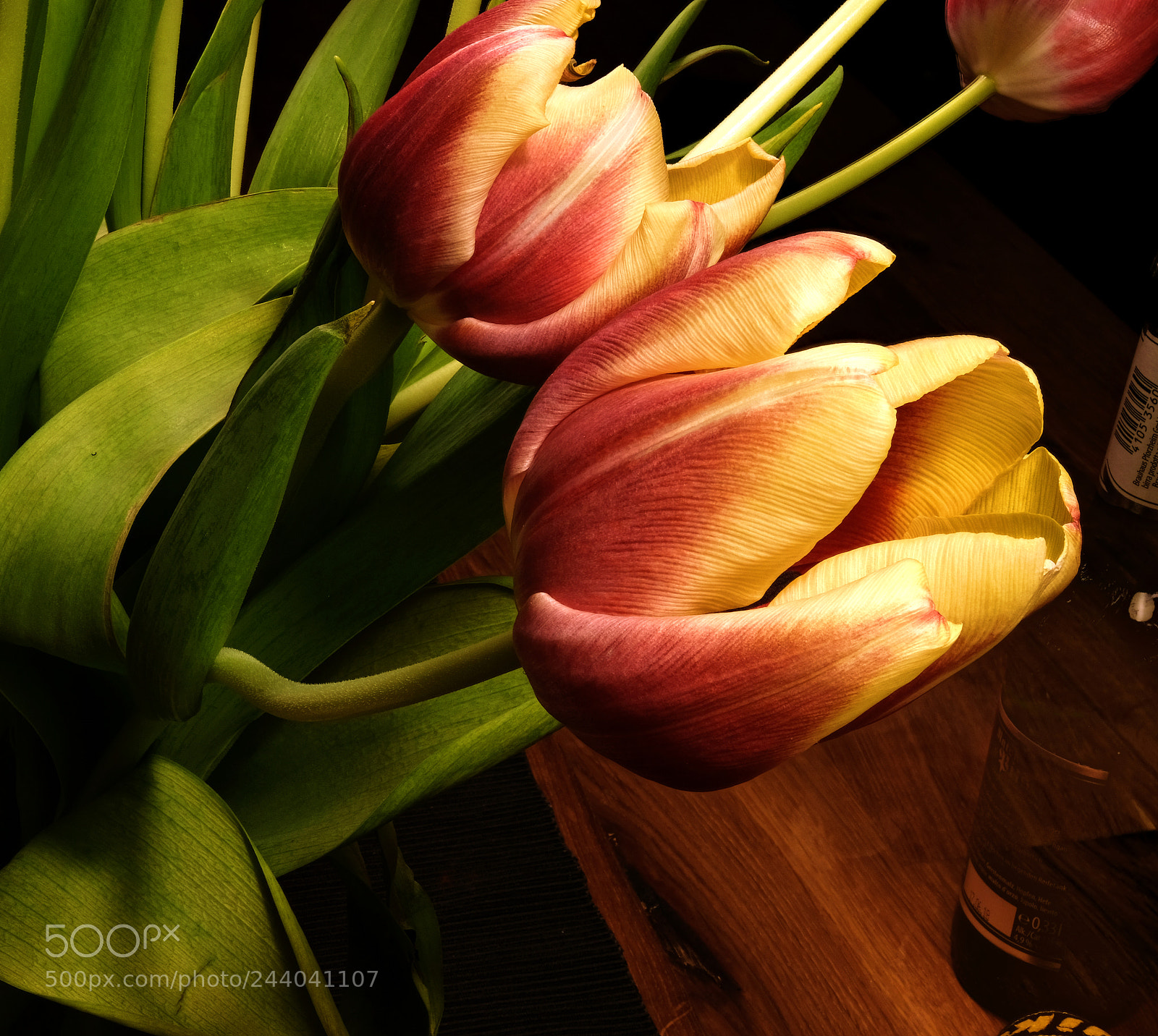 Fujifilm X-T2 sample photo. Tulips at home photography