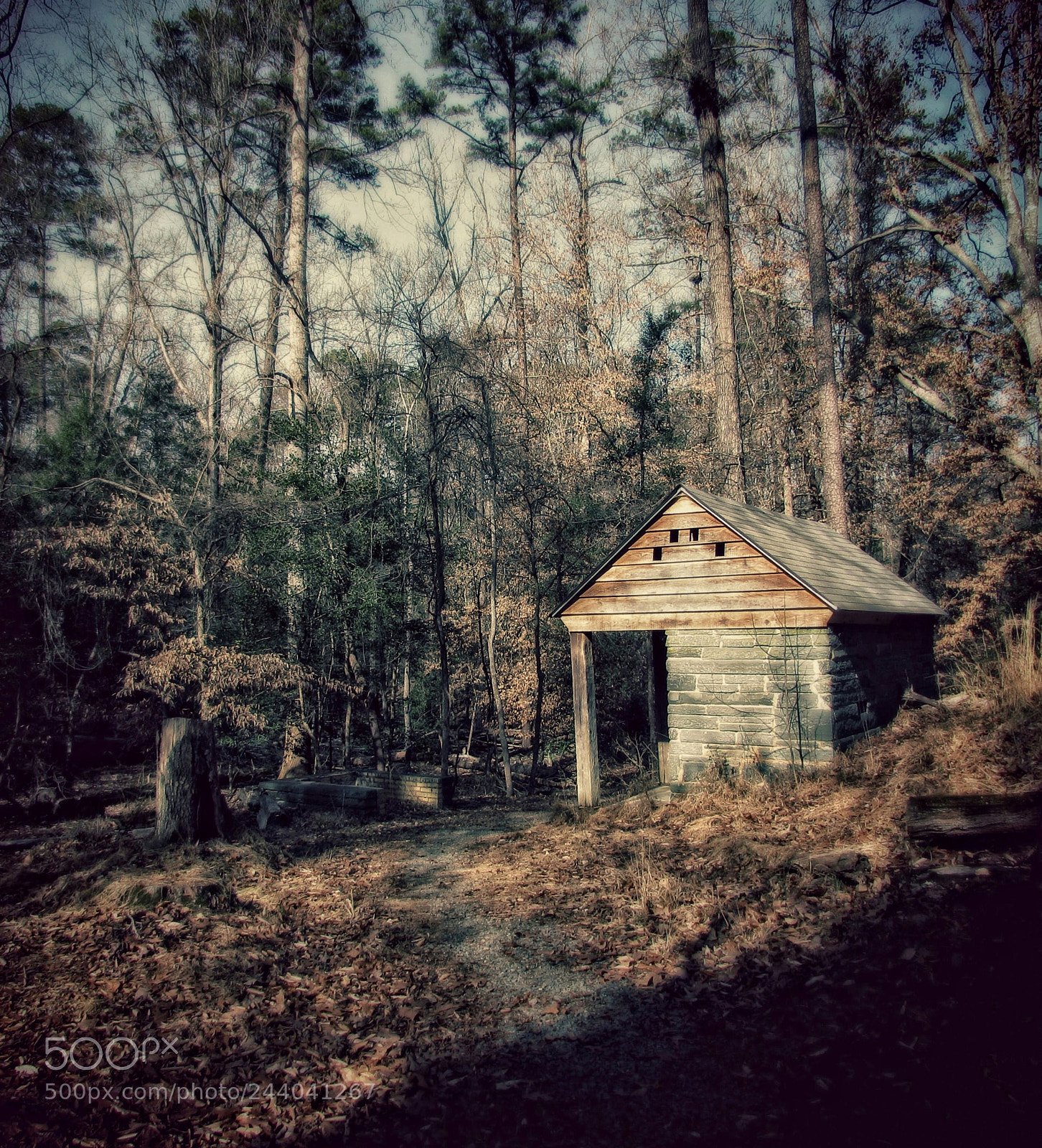 Canon PowerShot SX510 HS sample photo. A familiar place photography
