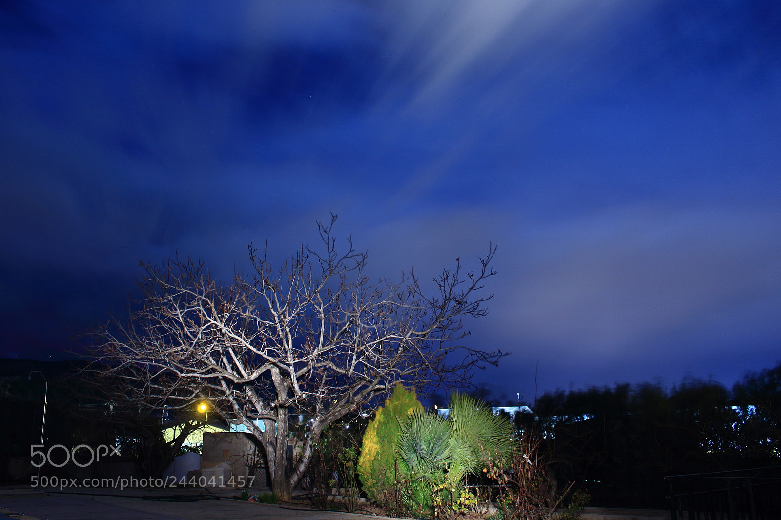 Canon EOS 1300D (EOS Rebel T6 / EOS Kiss X80) sample photo. Night3_cold photography