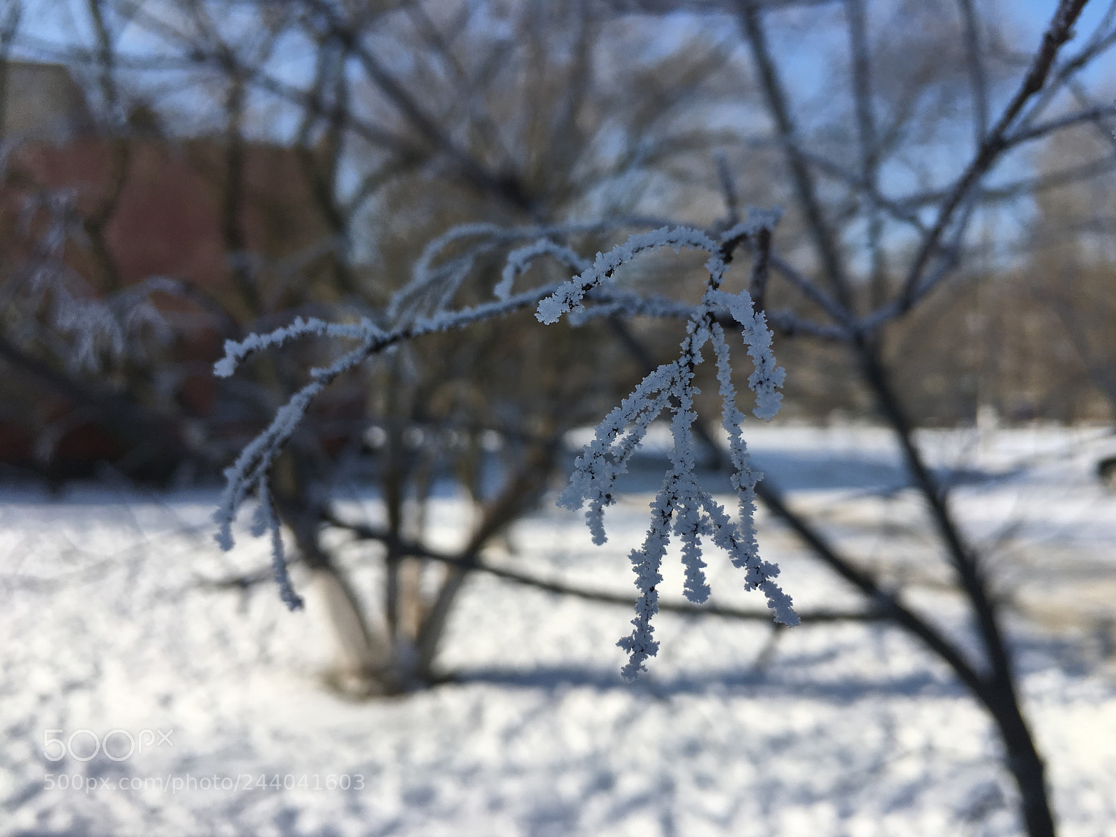 Apple iPhone 6s Plus sample photo. Kherson view photography