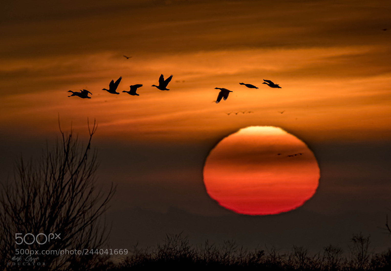 Nikon D850 sample photo. Great central valley morning photography