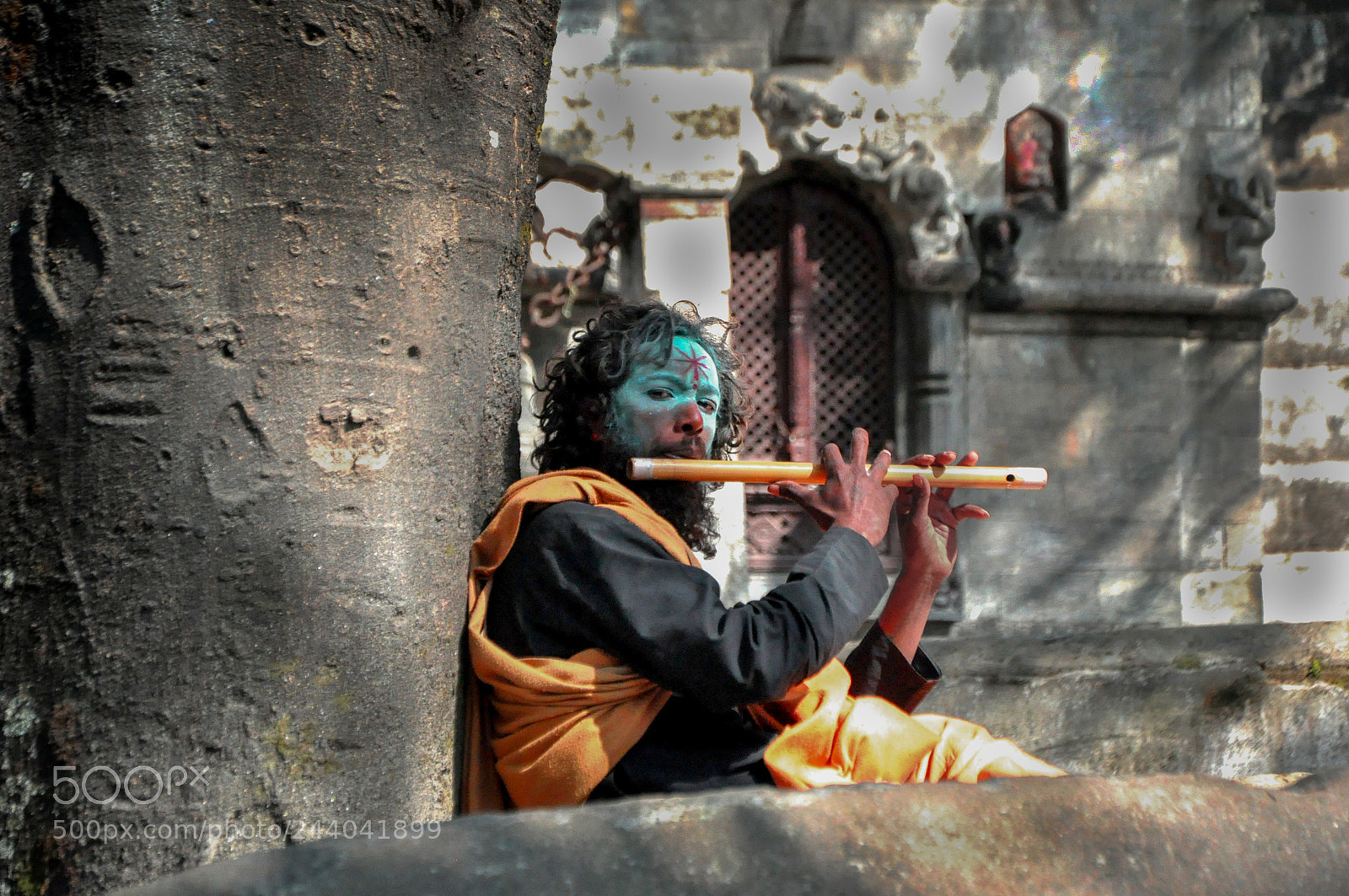 Nikon D90 sample photo. Krishna photography