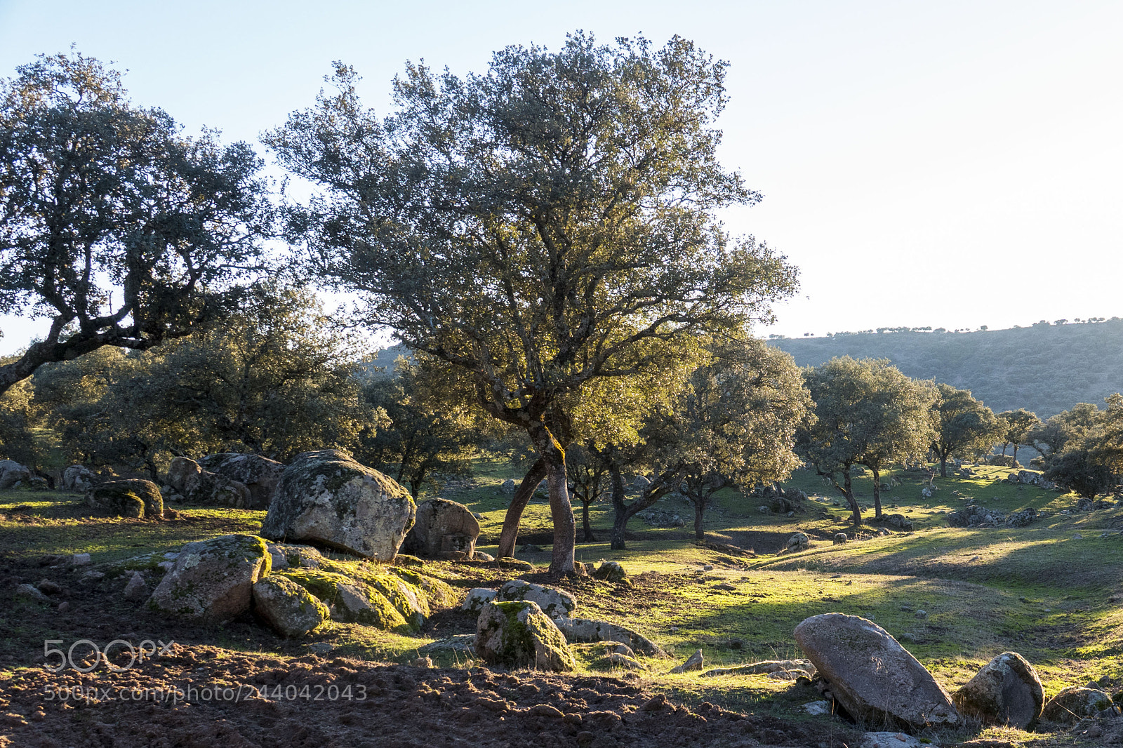 Sony Cyber-shot DSC-RX10 IV sample photo. Sierra de andujar photography