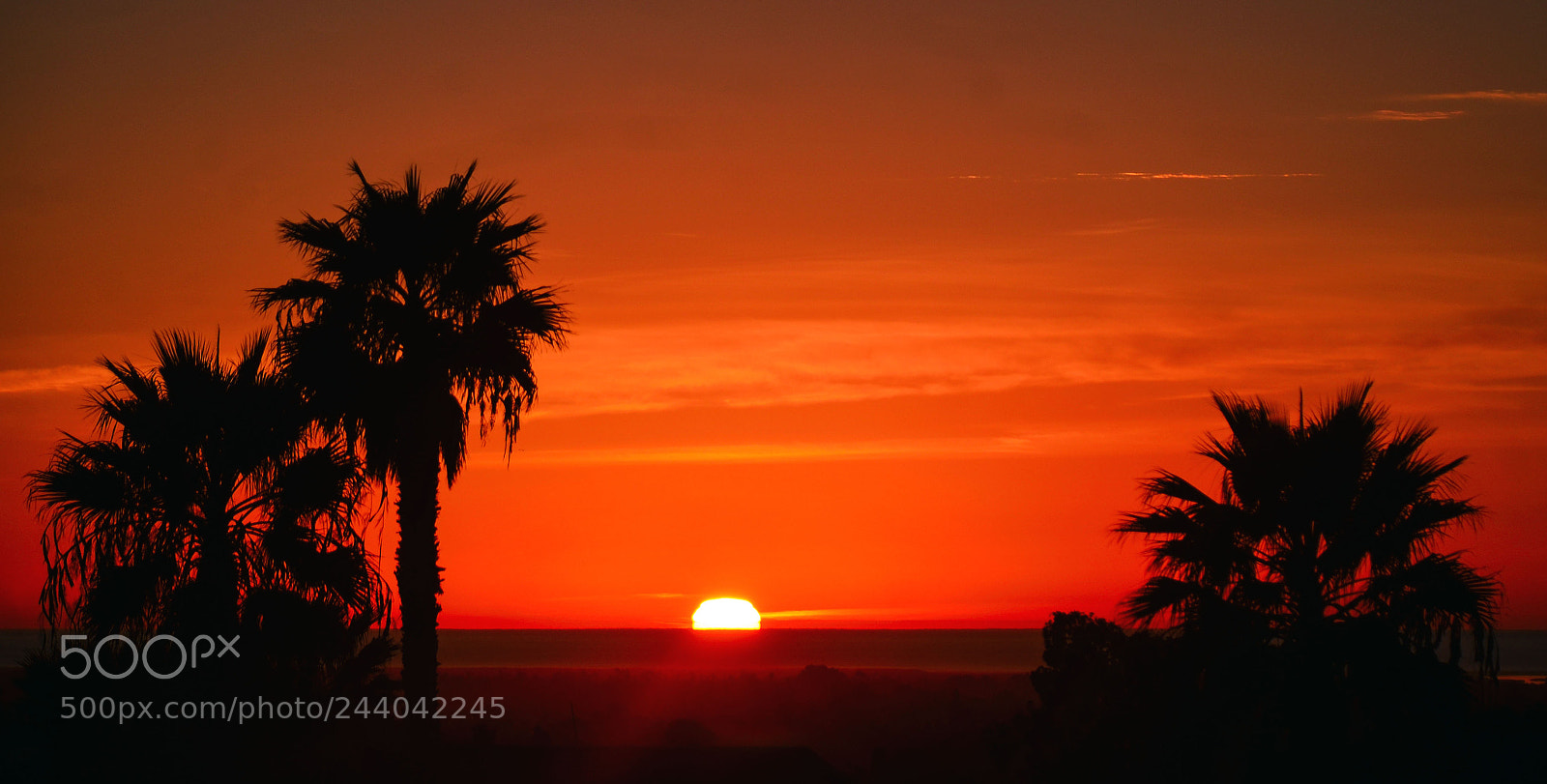 Nikon D7000 sample photo. California sunset photography