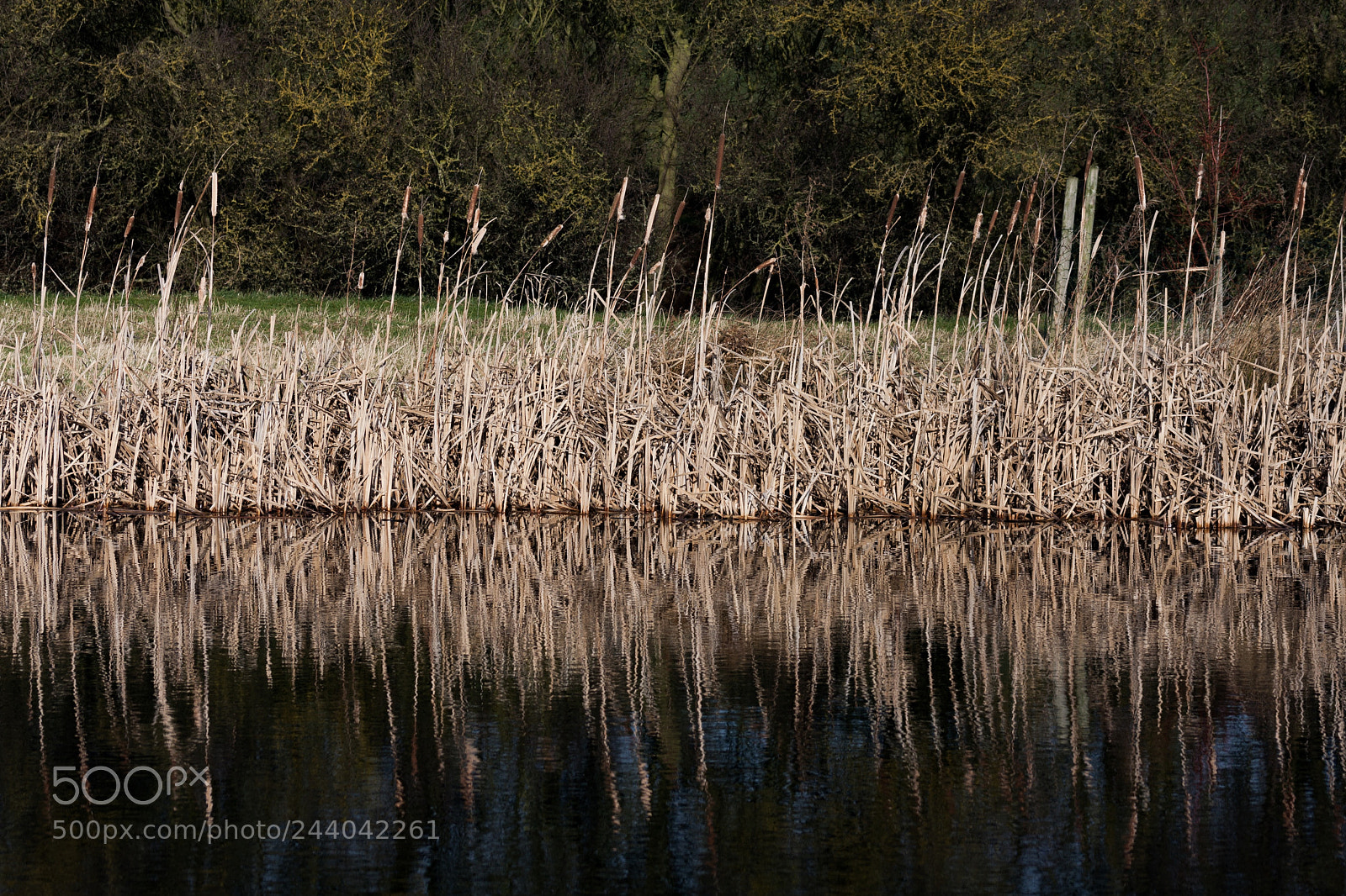 Canon EOS 40D sample photo. I liked the reflection photography