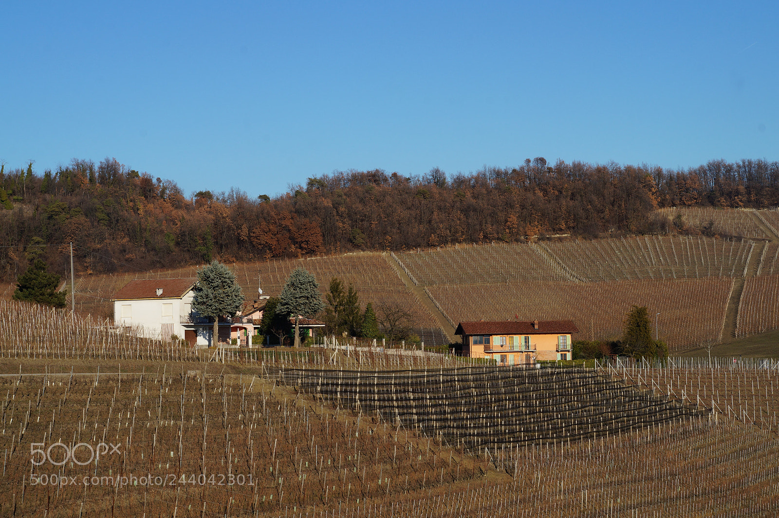Sony Alpha a3000 sample photo. Barolo photography