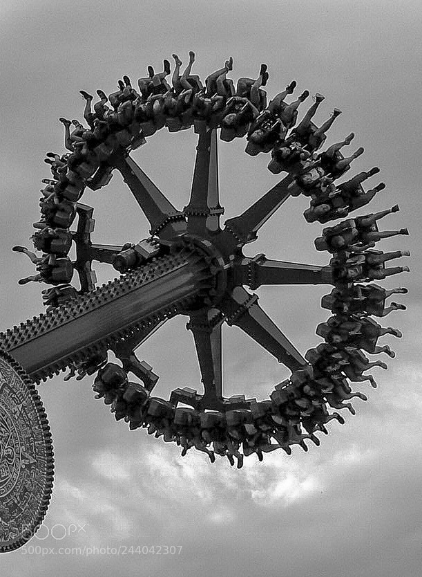 Nikon Coolpix P900 sample photo. Black-wonderful life photography