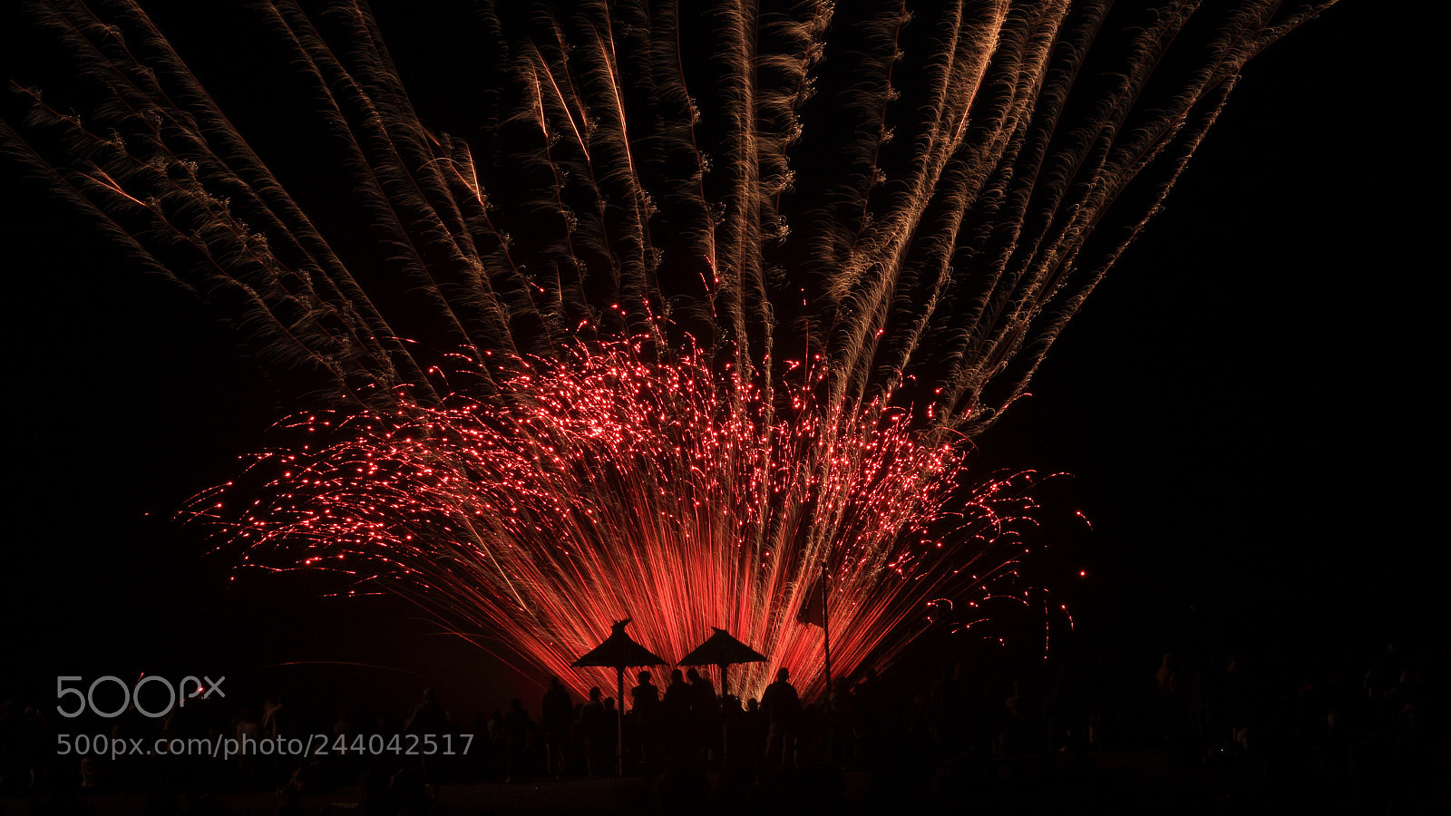 Canon EOS 70D + Canon EF 50mm F1.8 STM sample photo. Red explosion photography