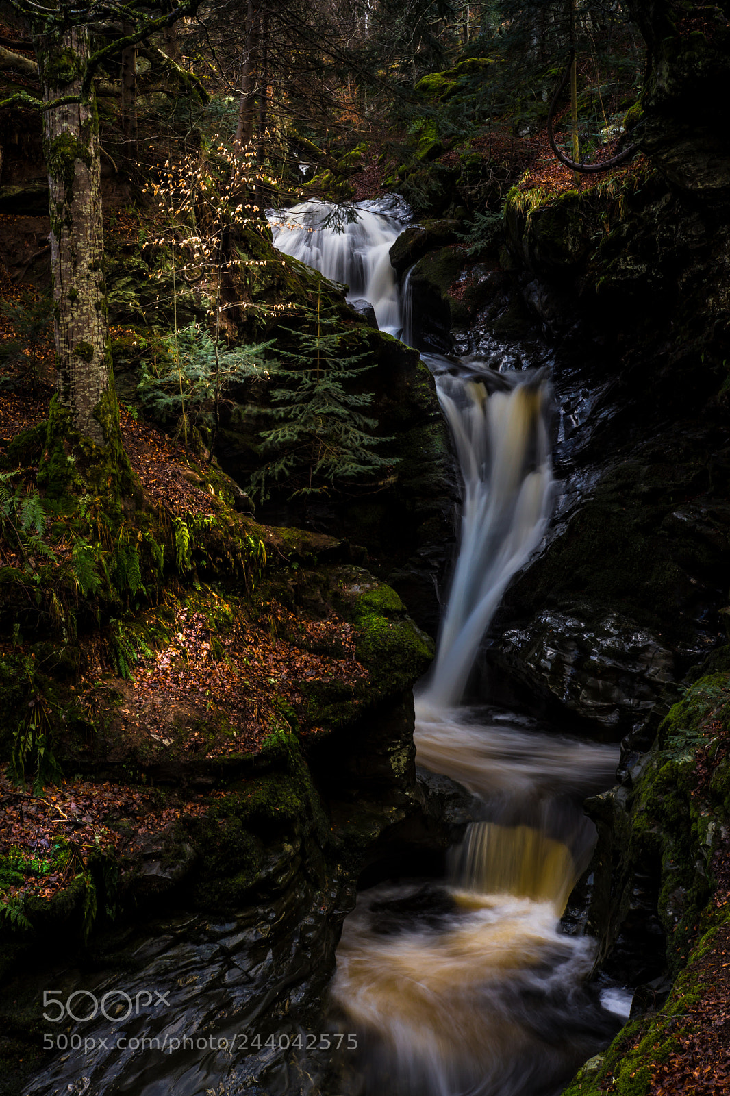 Sony SLT-A77 sample photo. The hermit's pool photography