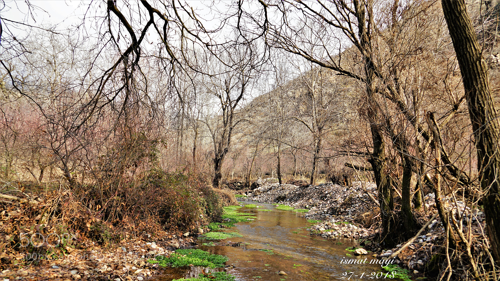 Sony a7 II sample photo. 10.jpg photography