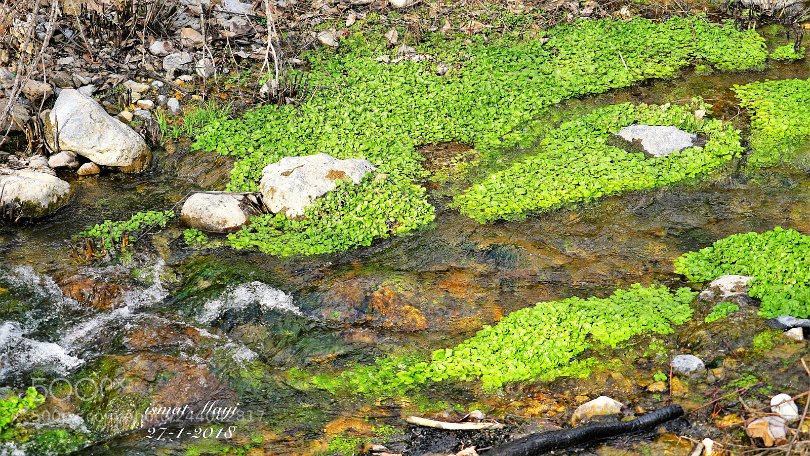 Sony a7 II sample photo. 17.jpg photography