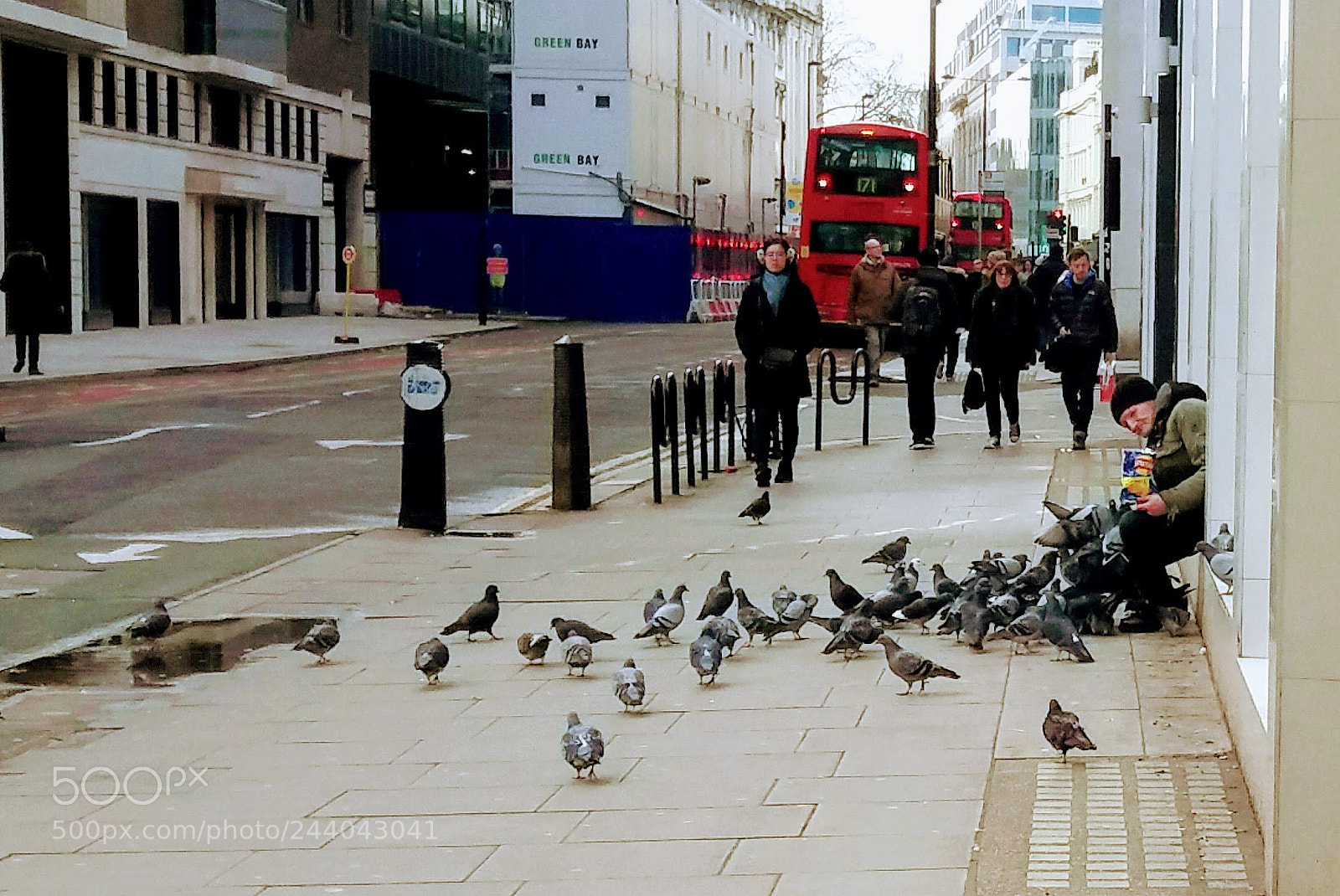 Samsung Galaxy J5 sample photo. Feed the birds photography