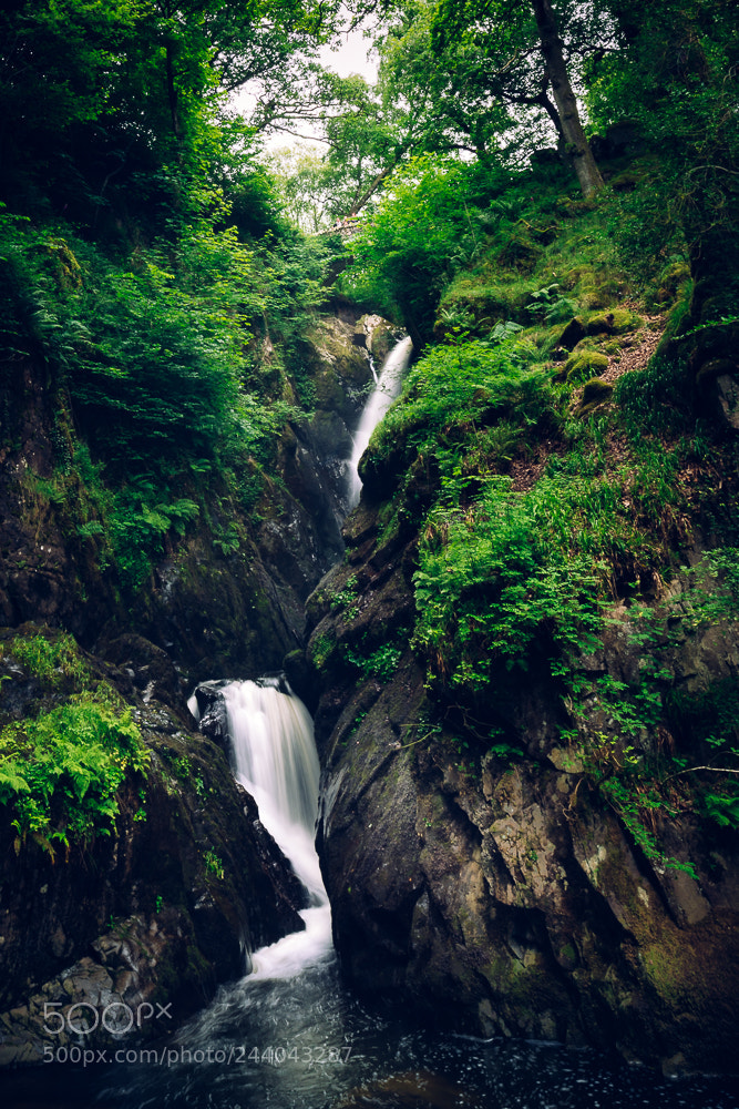 Nikon D810 sample photo. Aira force revisited photography