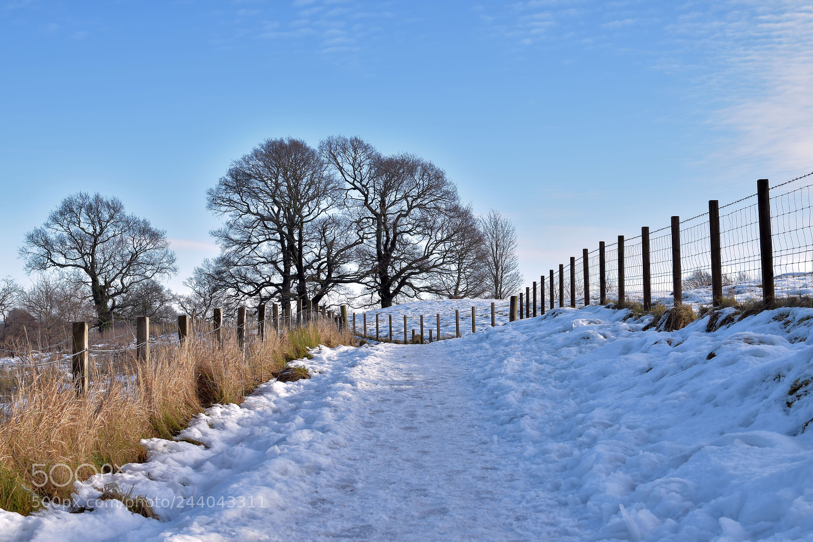 Nikon D5500 sample photo. Winterstime photography