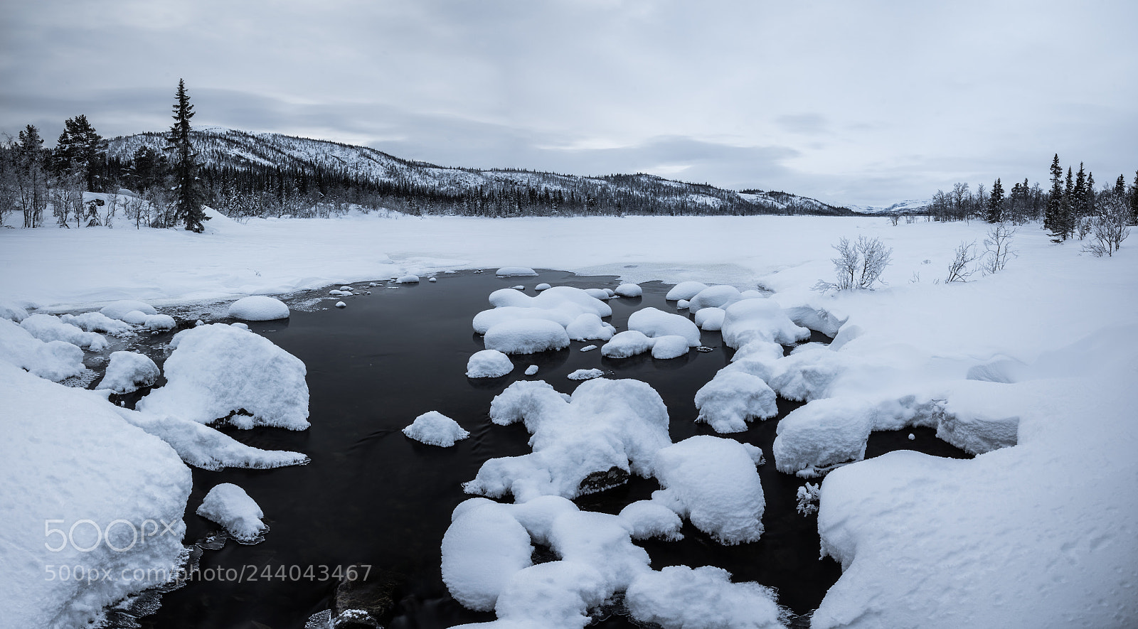 Sony a7R sample photo. White photography