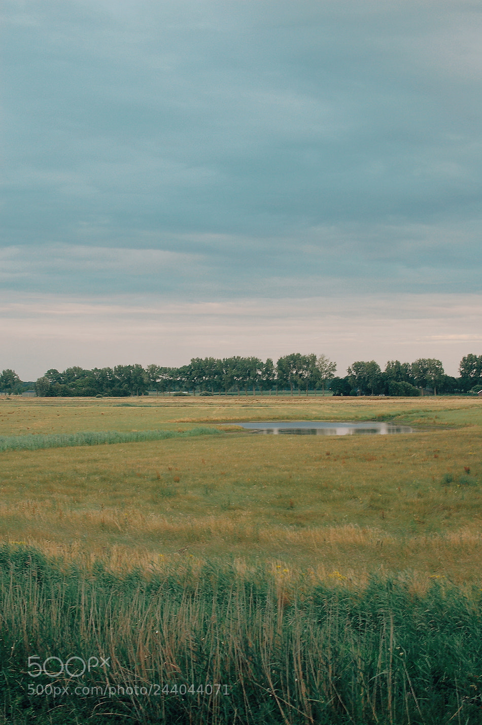 Nikon D50 sample photo. Moerputten photography