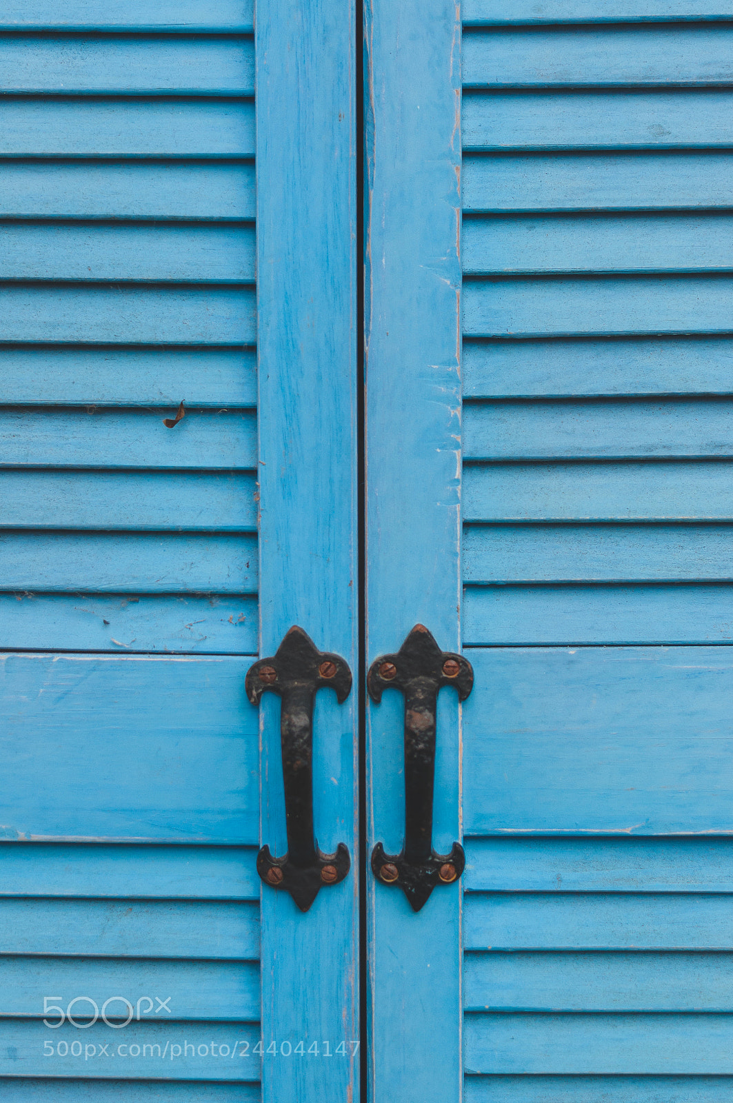 Nikon D90 sample photo. Blue shut photography