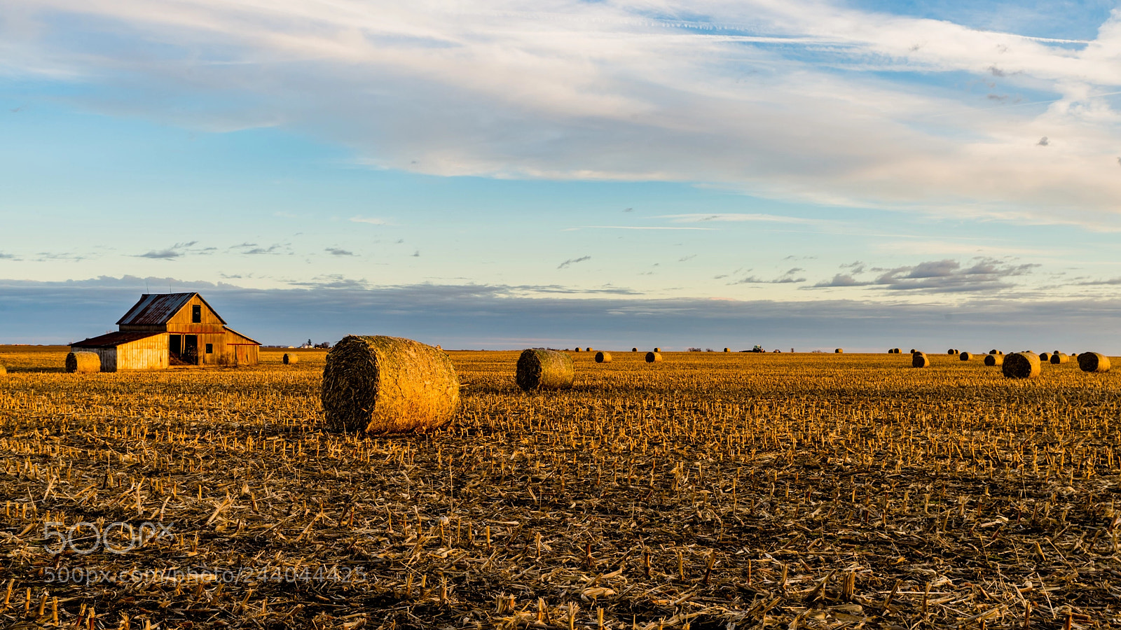 Nikon Df sample photo. Rural horizon photography