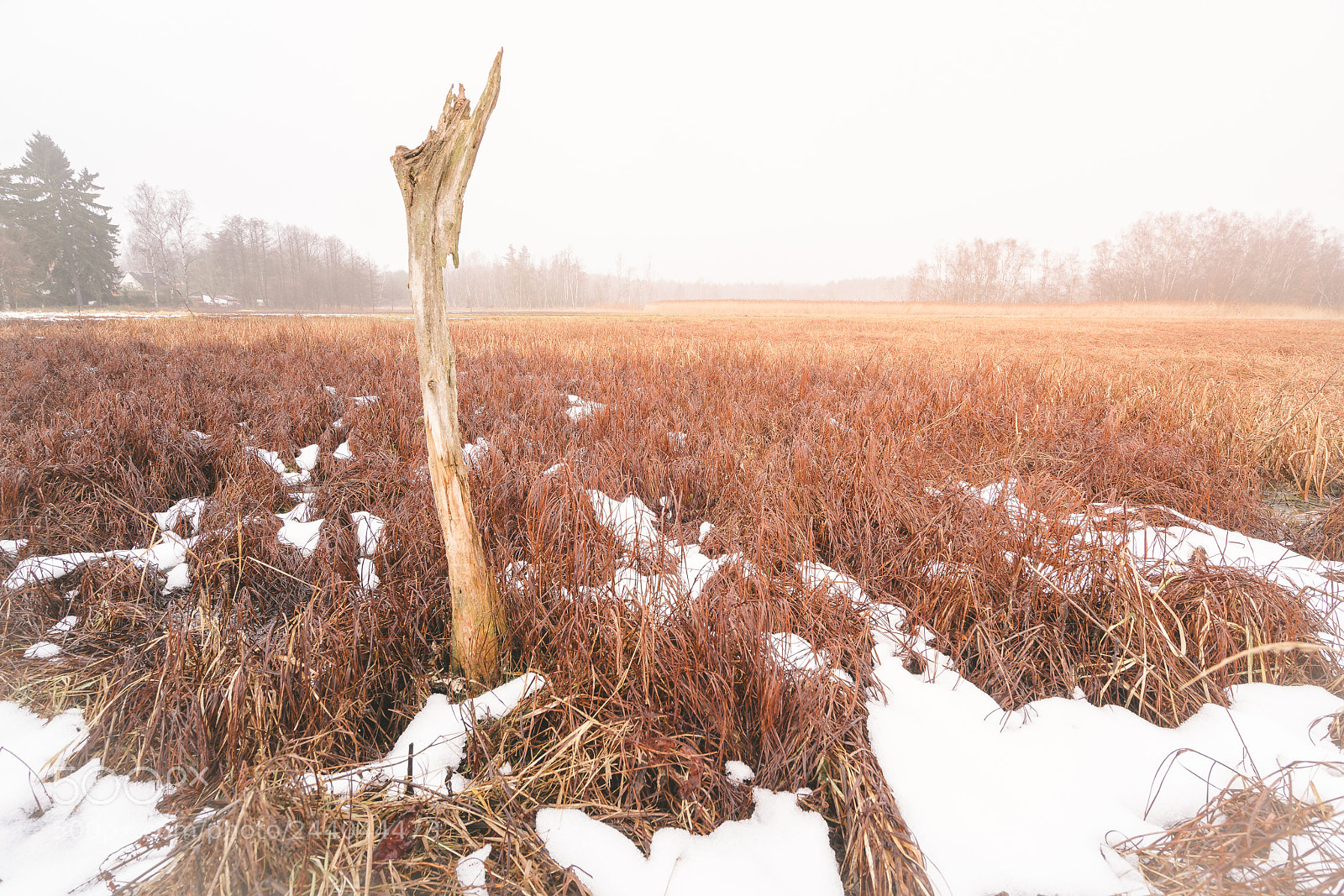 Sony a7R II sample photo. Winter meadow photography