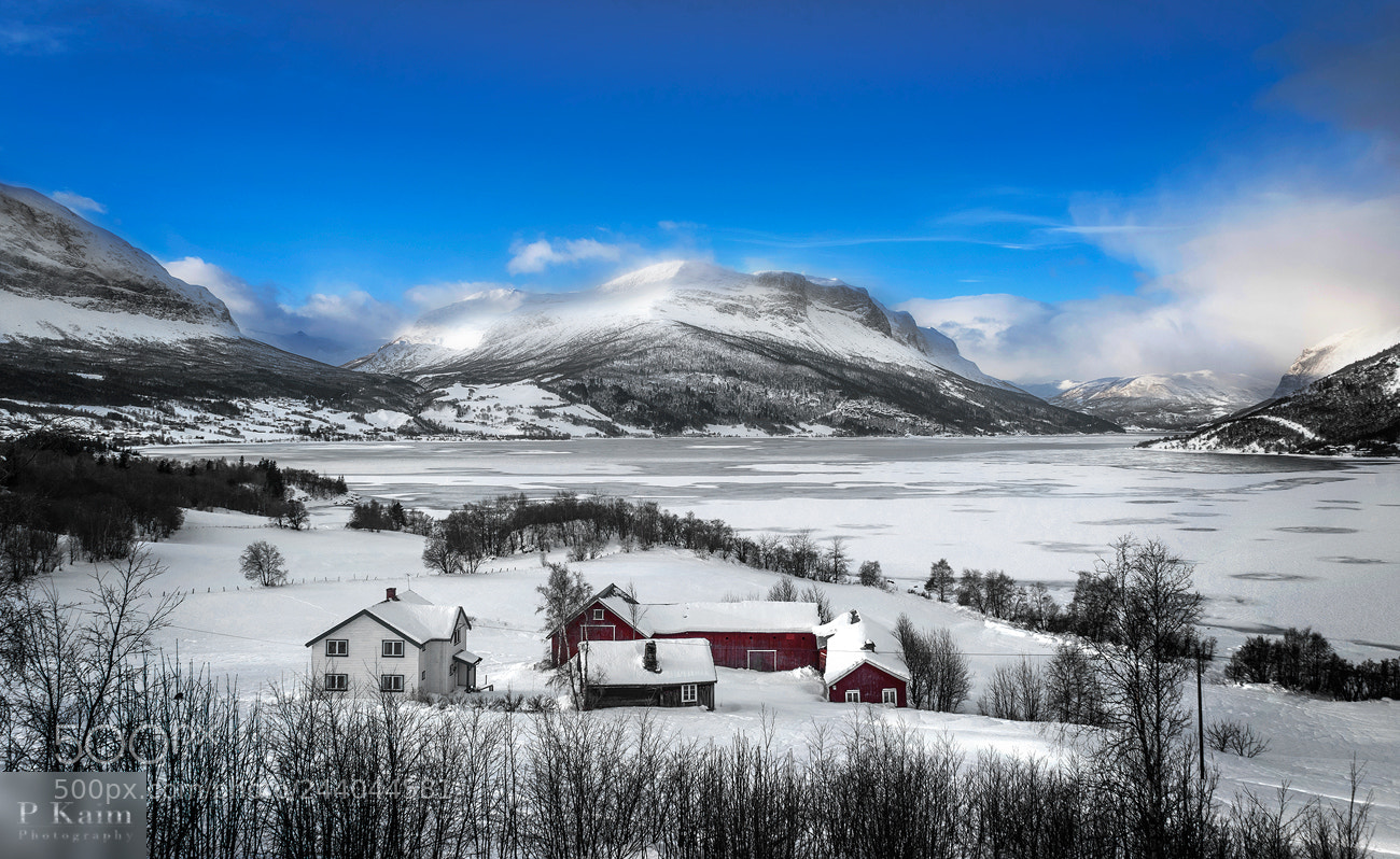 Nikon D5500 sample photo. Country landscape photography