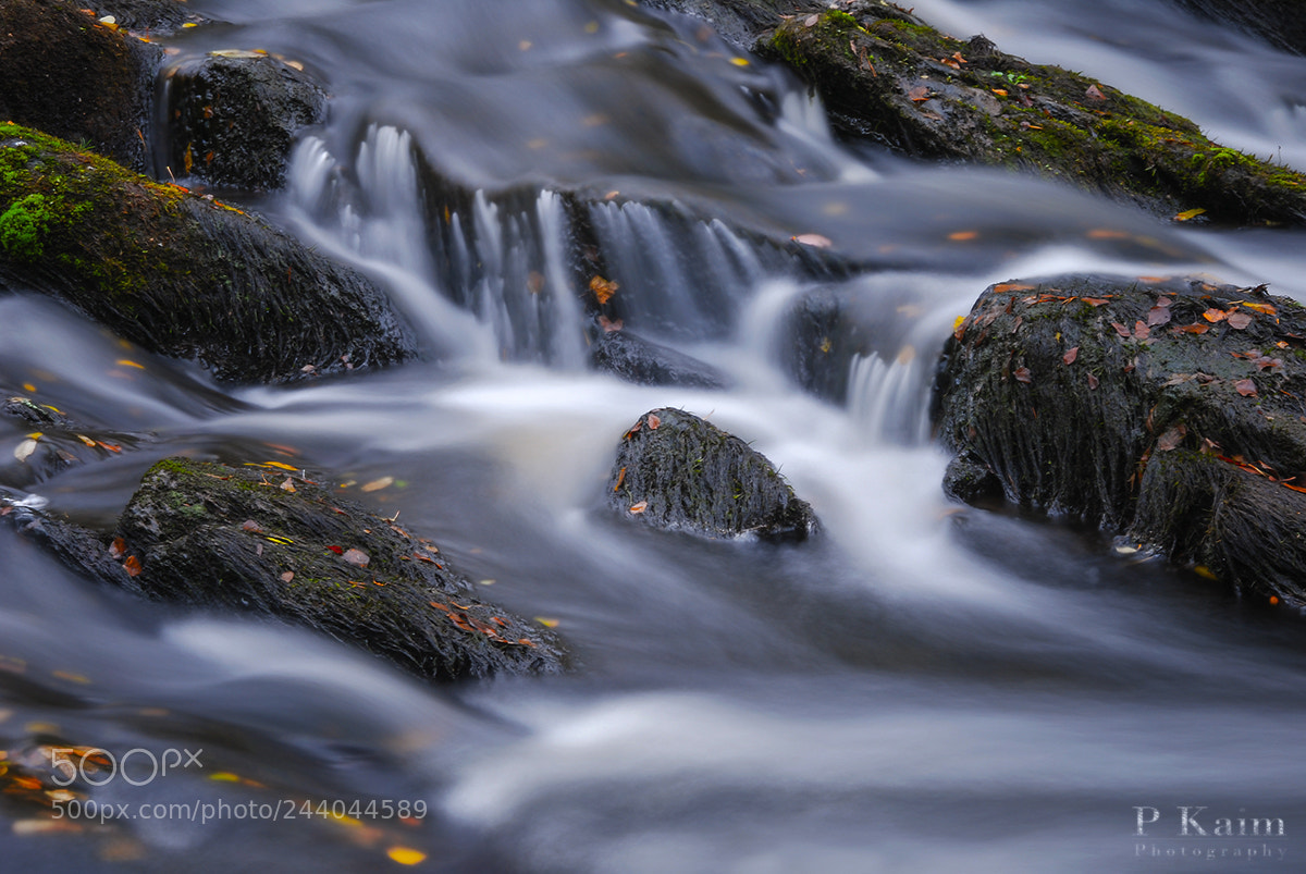Nikon D60 sample photo. River photography