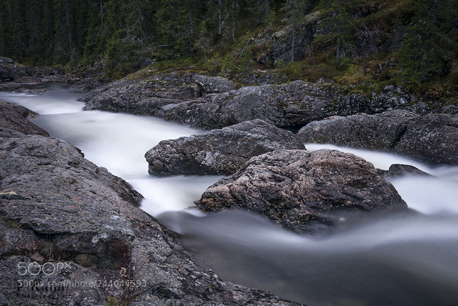 Nikon D60 sample photo. River of mist photography
