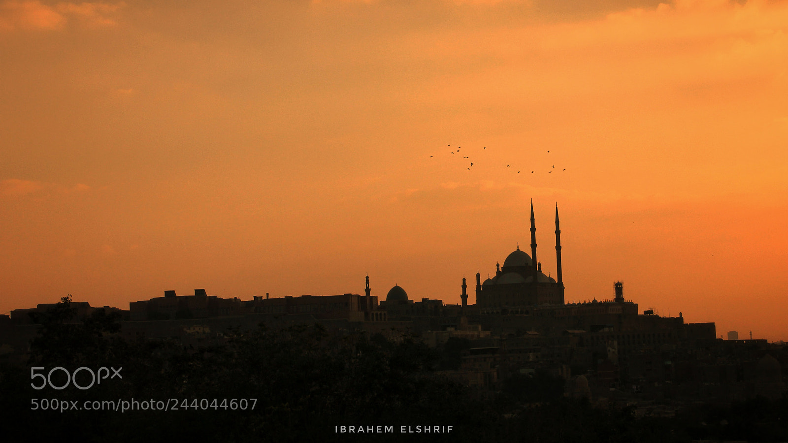 Canon EOS 550D (EOS Rebel T2i / EOS Kiss X4) sample photo. Mohamed ali mousqe photography