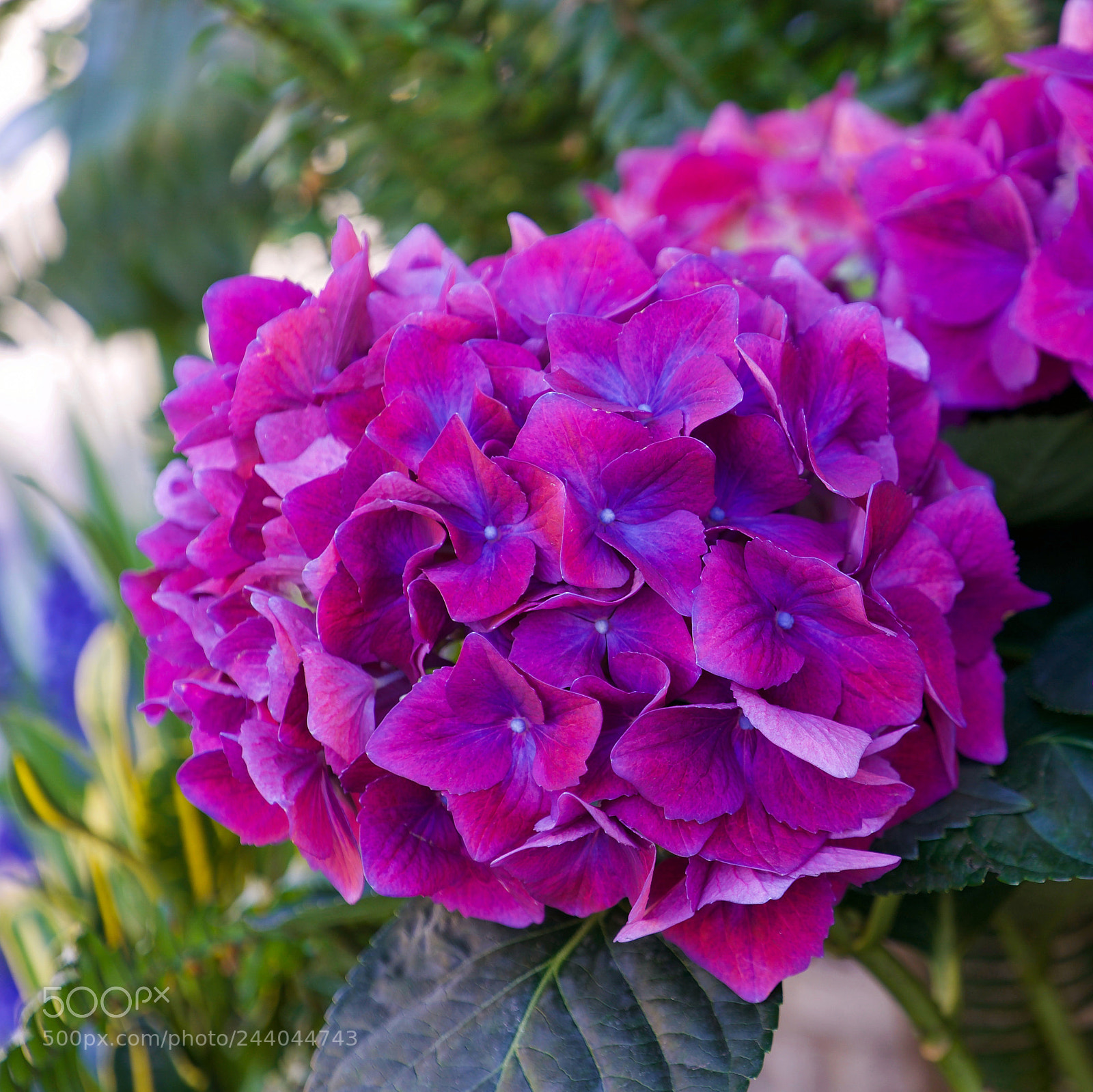 Sony a9 sample photo. I wish i was photography