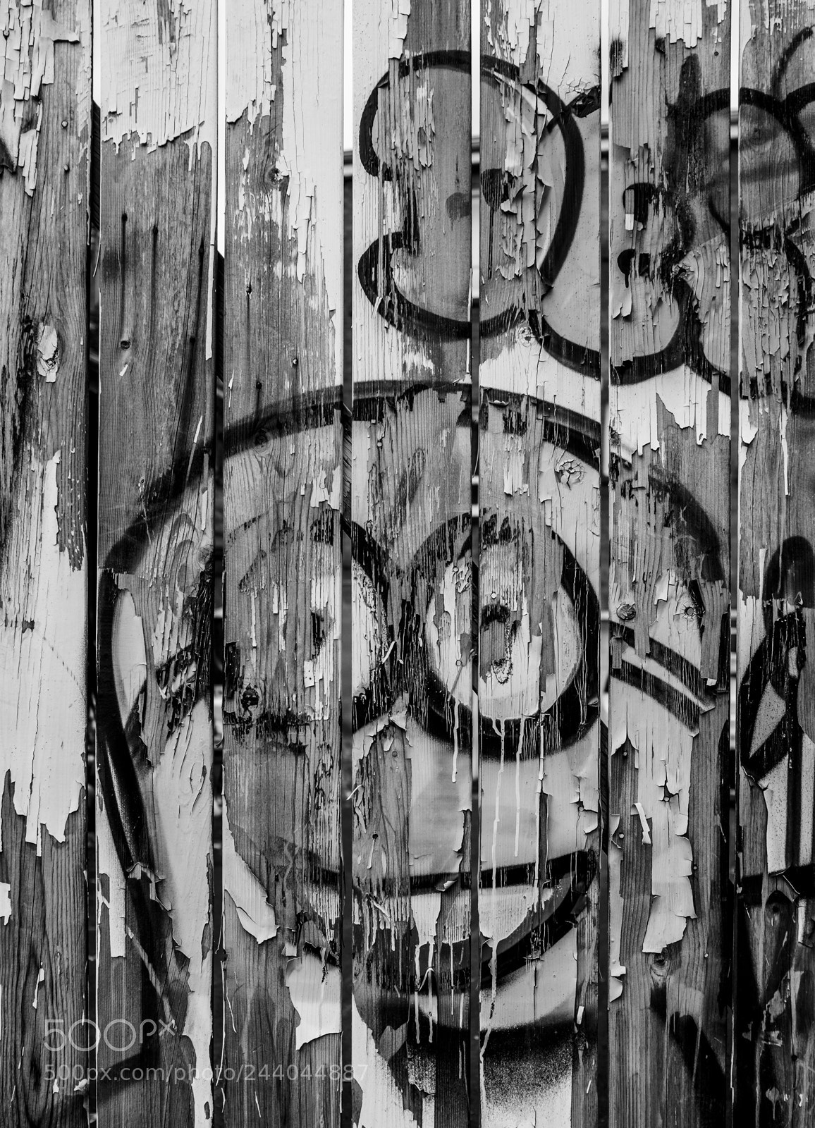 Fujifilm X100S sample photo. Peeling photography