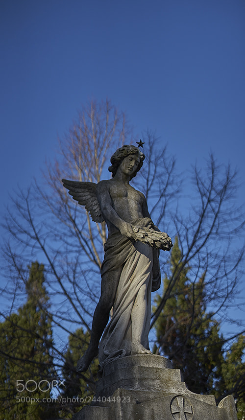 Sony a7 II sample photo. Guardian of souls photography