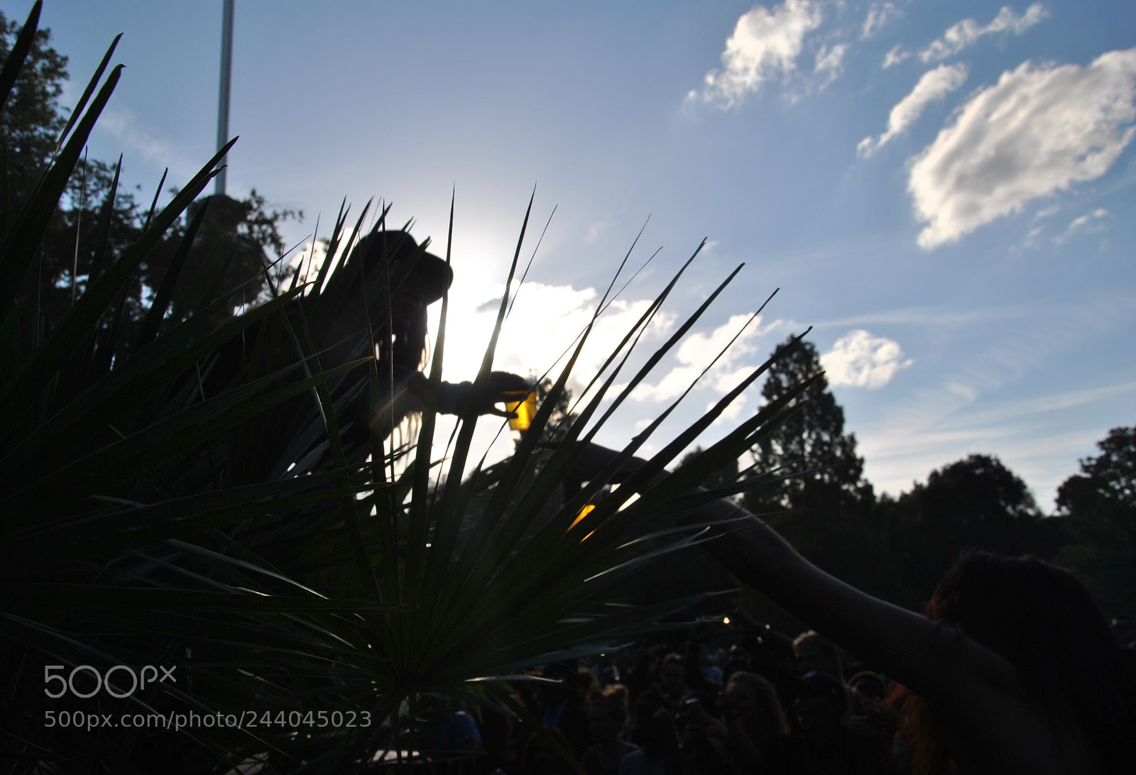 Nikon D3000 sample photo. Slingshot diaries - het photography