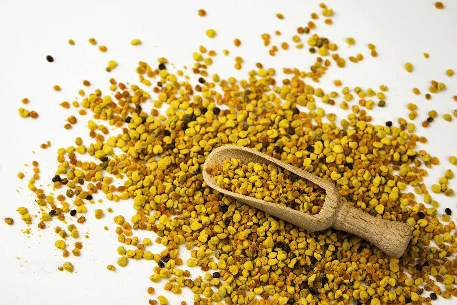 Nikon D5500 sample photo. Plant pollen grains photography