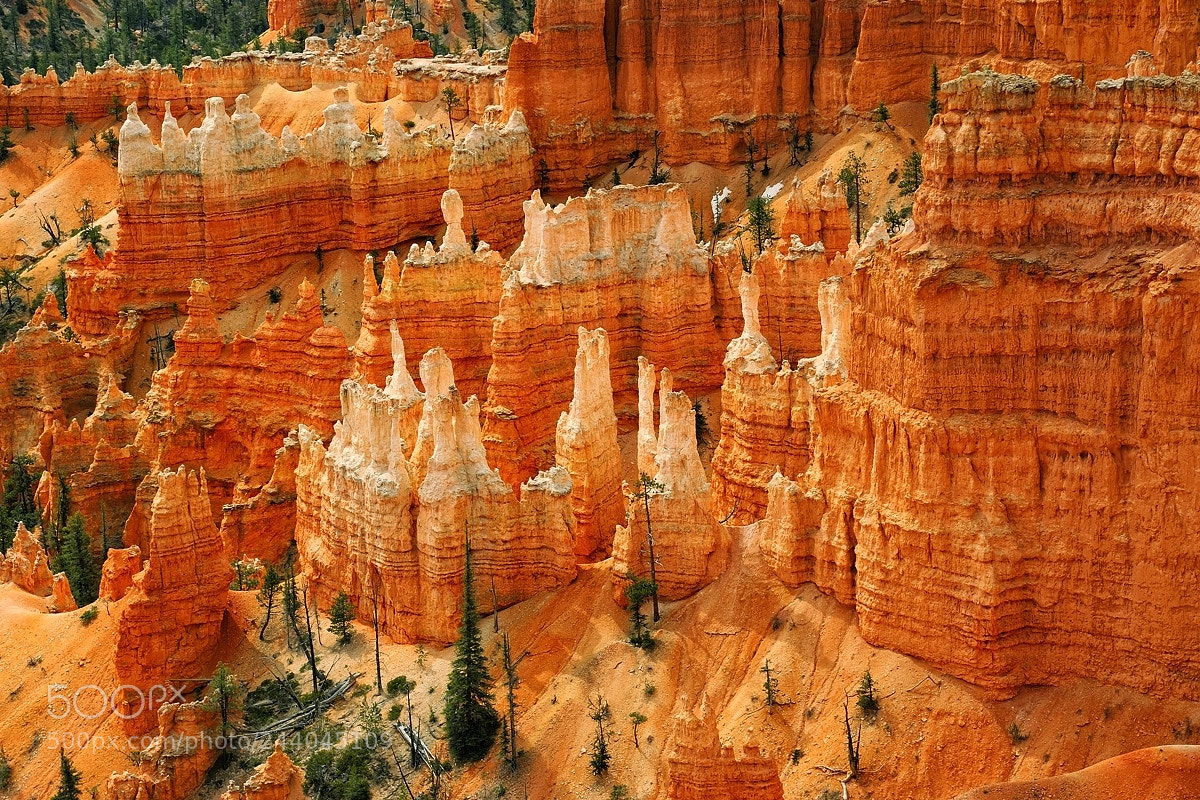 Nikon D700 sample photo. Bryce canyon photography