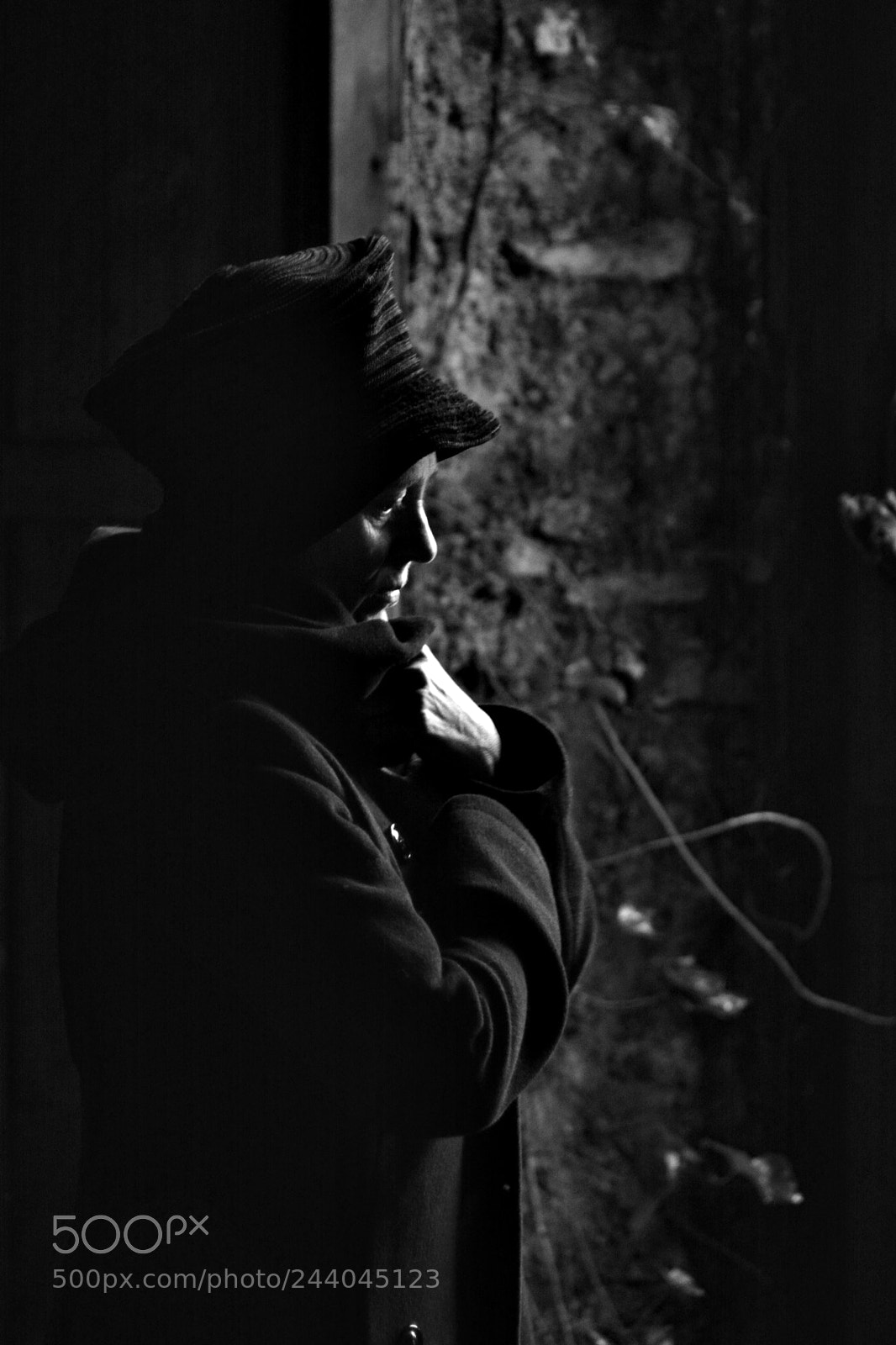 Nikon D7100 sample photo. La végétation... photography