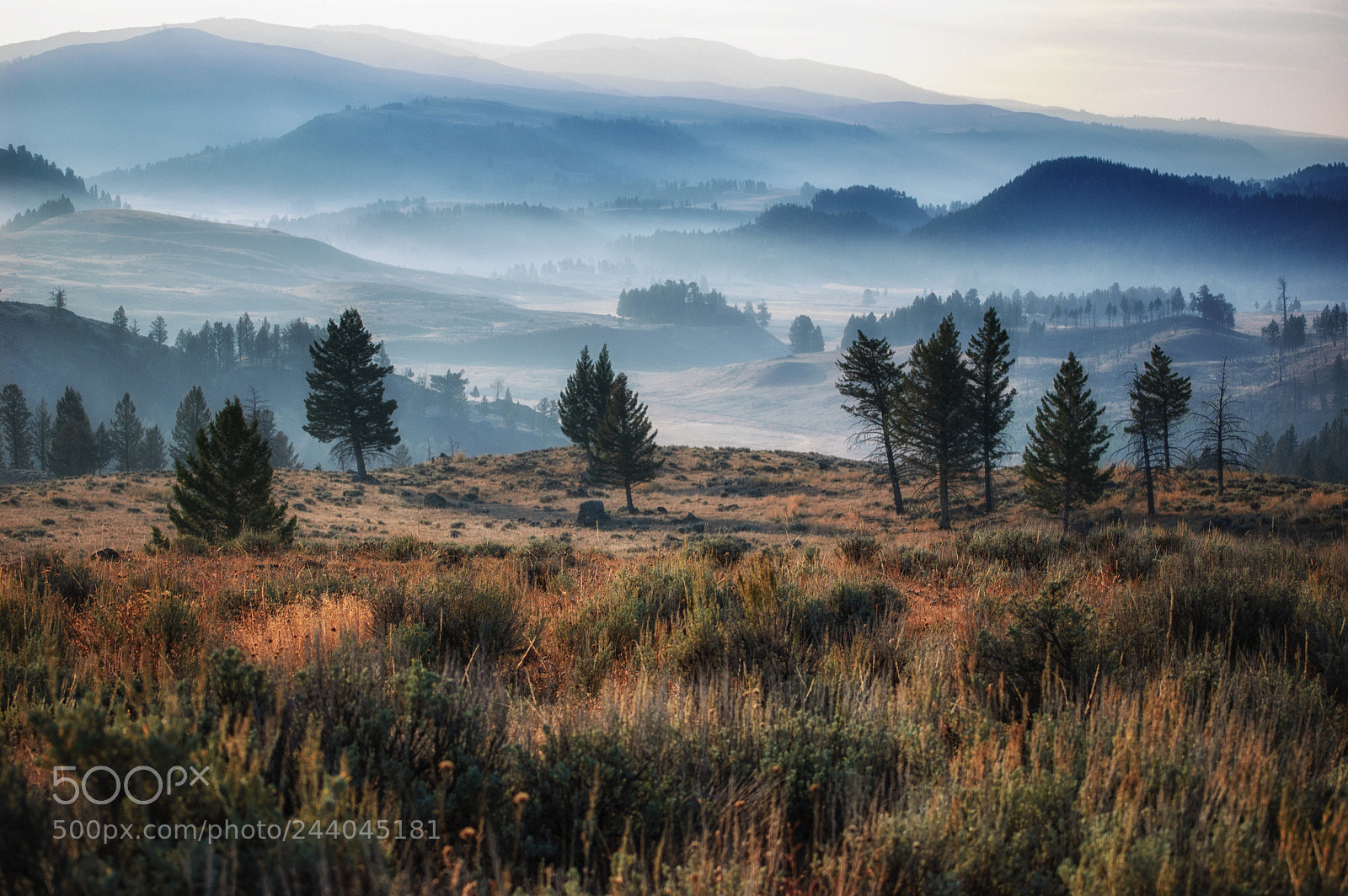 Nikon D40 sample photo. The valley morning photography
