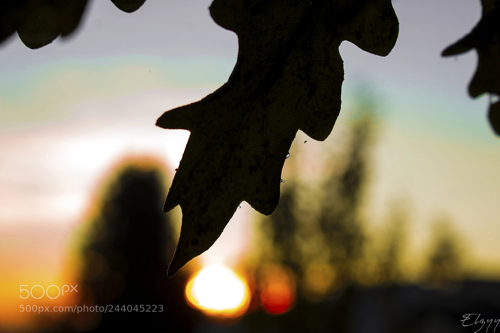 Canon EOS 700D (EOS Rebel T5i / EOS Kiss X7i) sample photo. Sunrise rainbow photography
