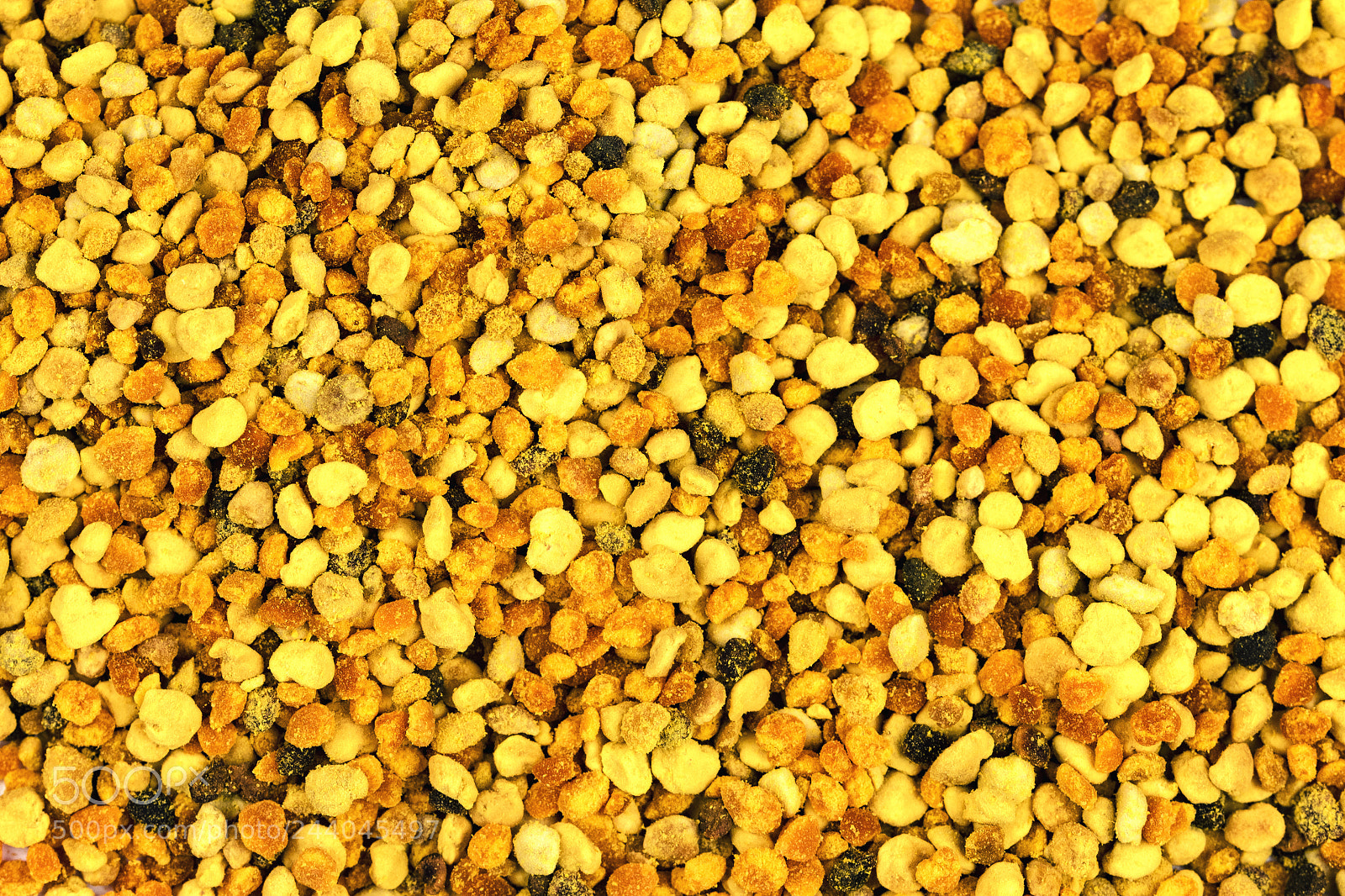 Nikon D5500 sample photo. Food plant pollen grains photography