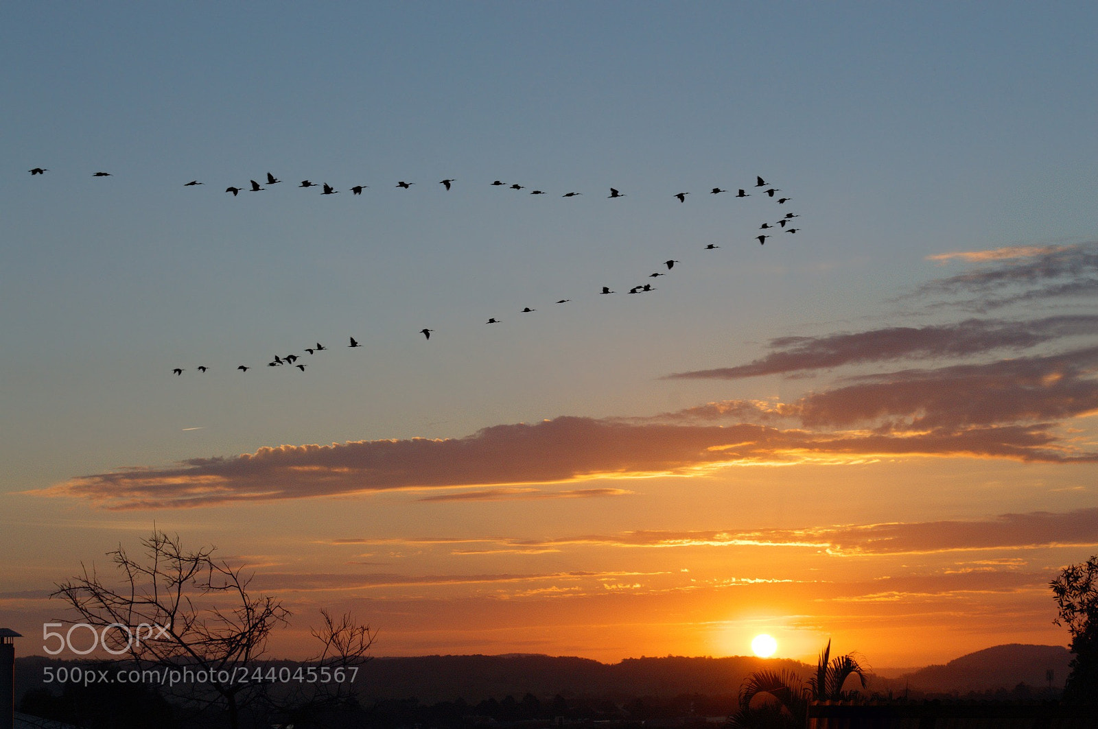 Nikon D3200 sample photo. Good morning photography