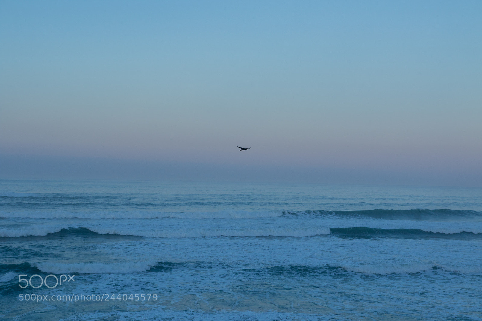 Canon EOS 7D Mark II sample photo. Muriwai beach photography
