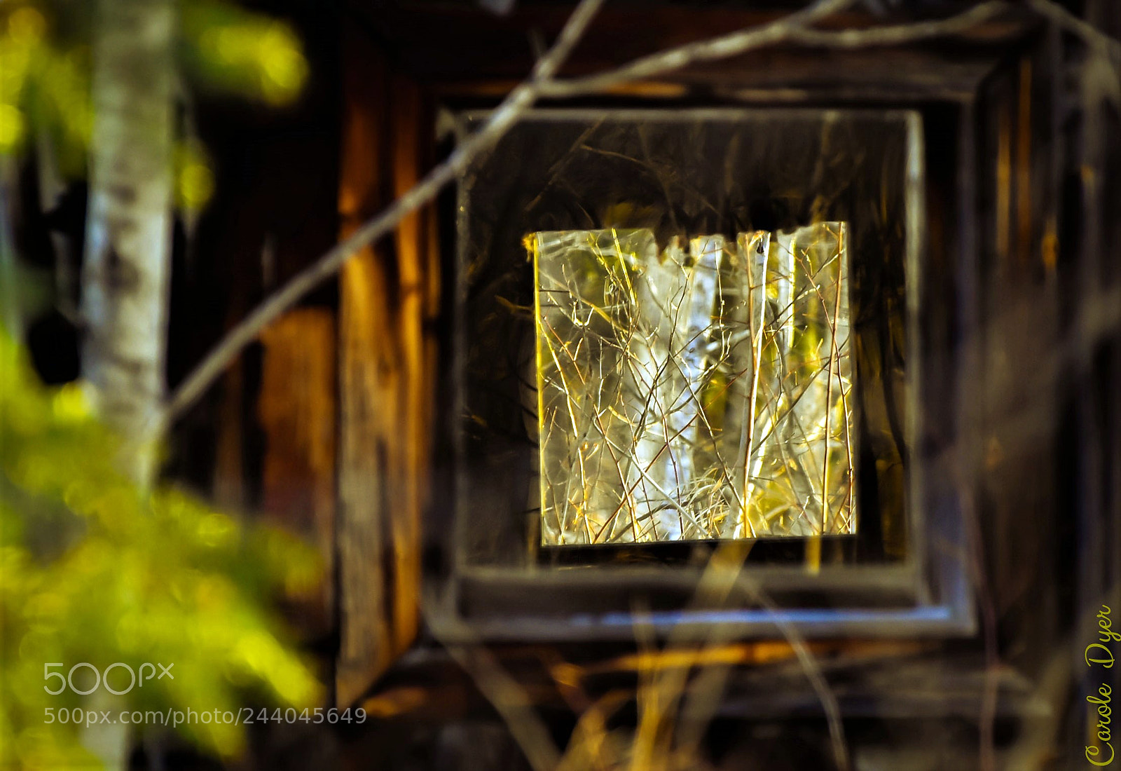 Nikon D5600 sample photo. Old cabin window photography
