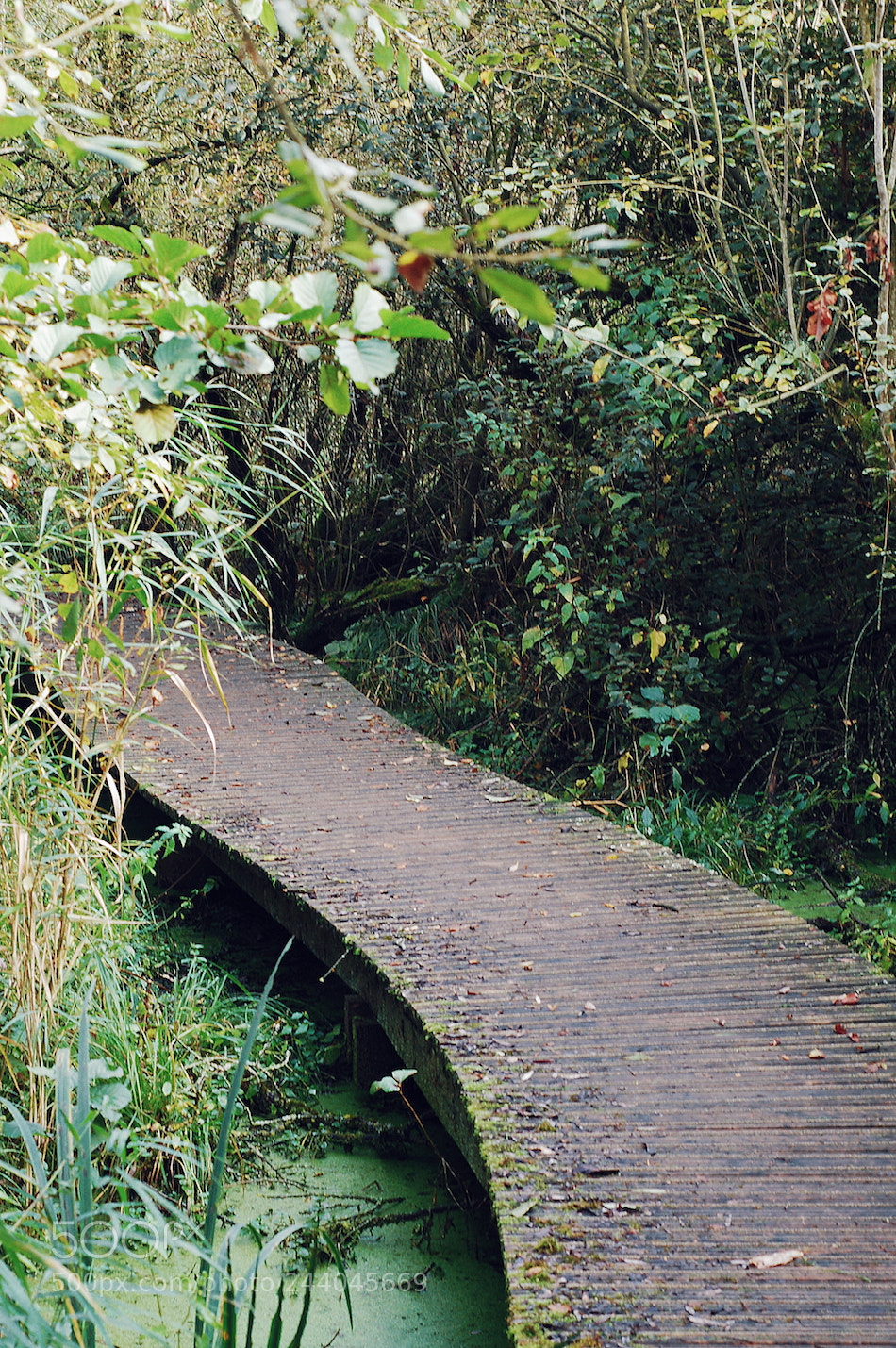 Nikon D50 sample photo. Moerputten photography