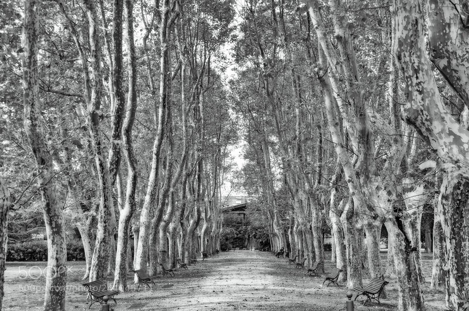 Pentax K-3 II sample photo. Silence photography