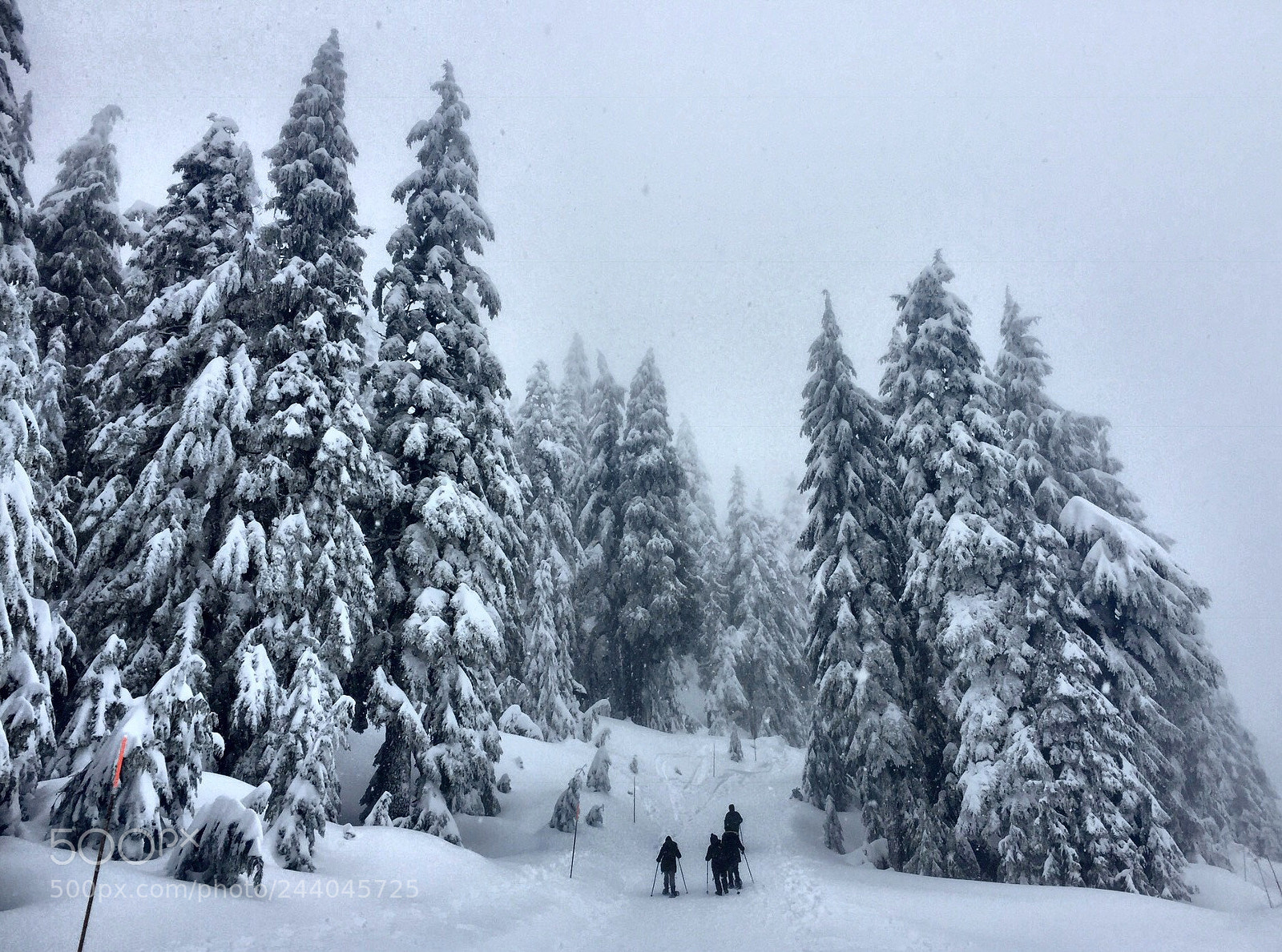 Apple iPhone 6 sample photo. Mt seymour, north vancouver photography