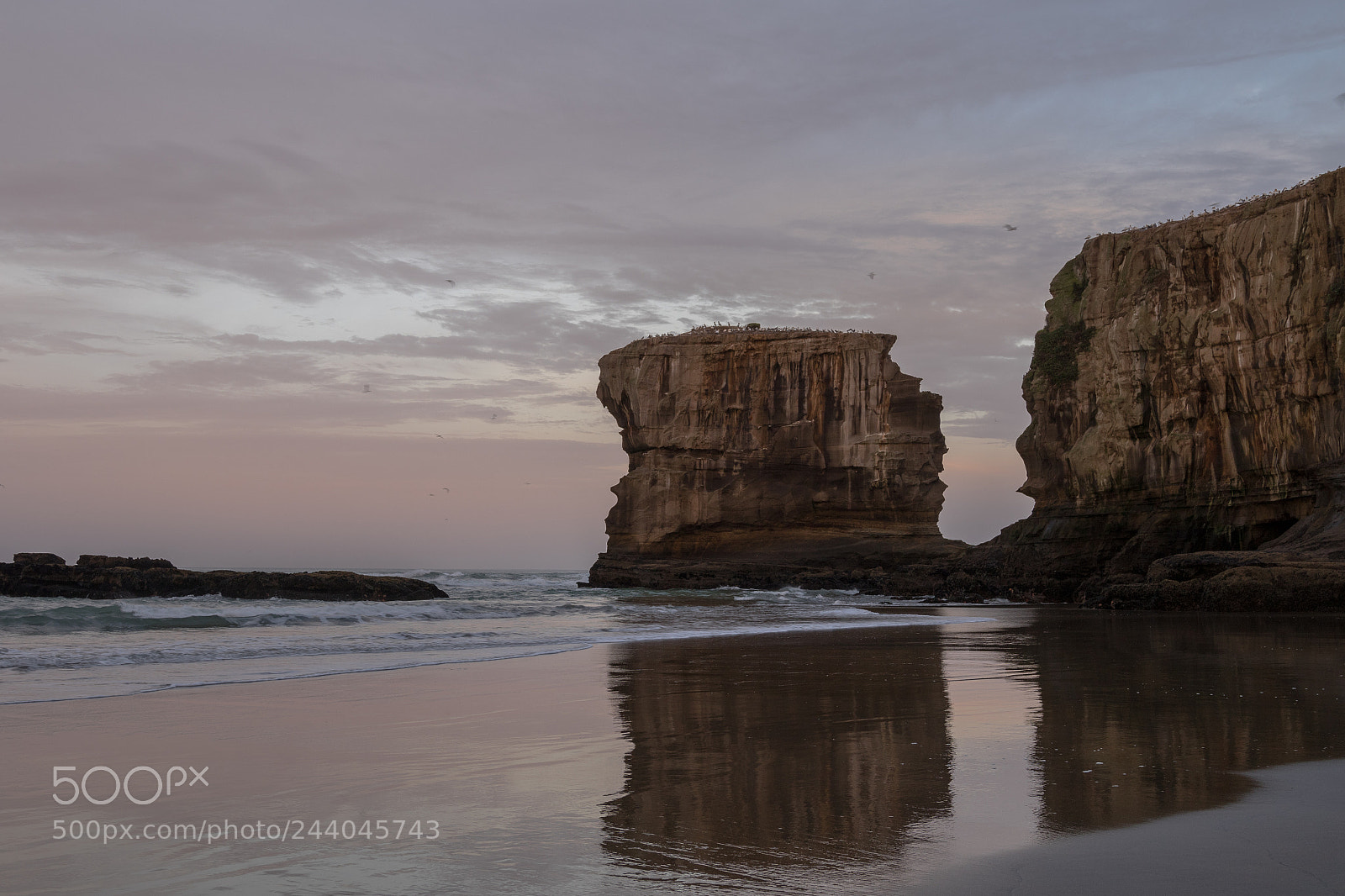 Canon EOS 7D Mark II sample photo. Muriwai beach photography