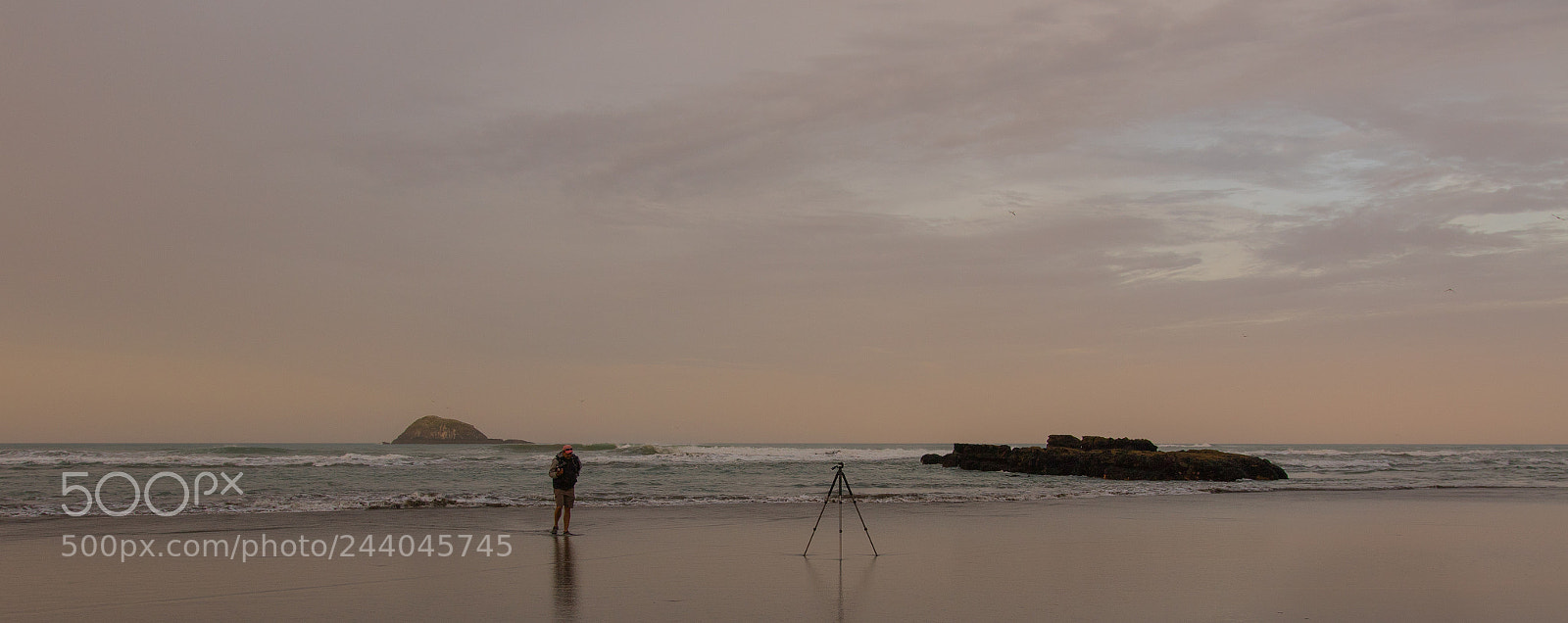Canon EOS 7D Mark II sample photo. Muriwai beach photography